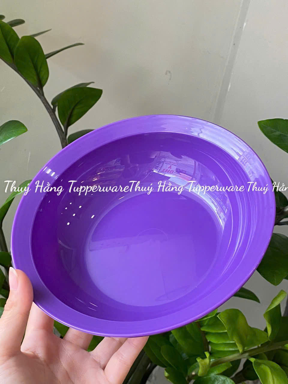 Dĩa/ đĩa Sâu Lòng Everyday Plate Set 4 Tupperware 4 Màu 17.5cm
