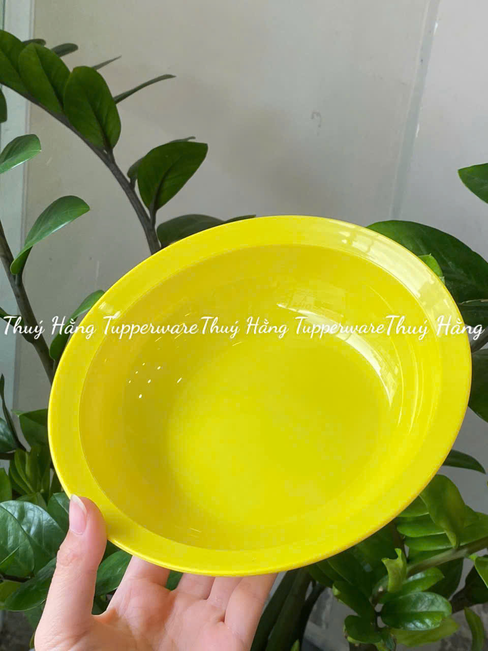 Dĩa/ đĩa Sâu Lòng Everyday Plate Set 4 Tupperware 4 Màu 17.5cm