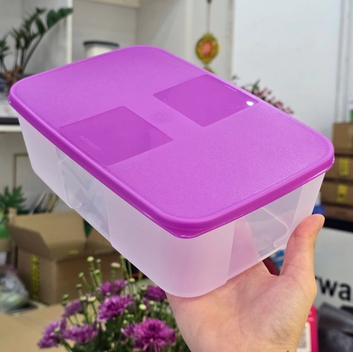 Hộp Tupperware Đông 1.7L - Tupperware Trung Chính Hãng