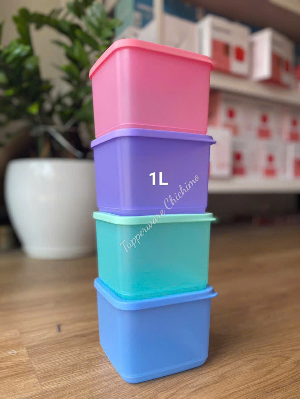 Bộ Hộp BQTP Tupperware Medium Square Round 4 Hộp 1L