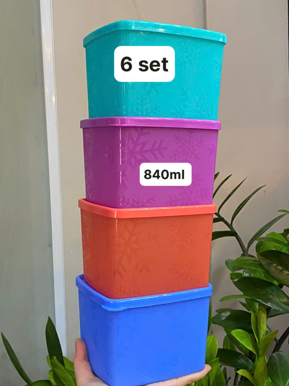 Hộp Tupperware Trữ Đông Snowflake 840ml - Tupperware Malaysia Chính Hãng