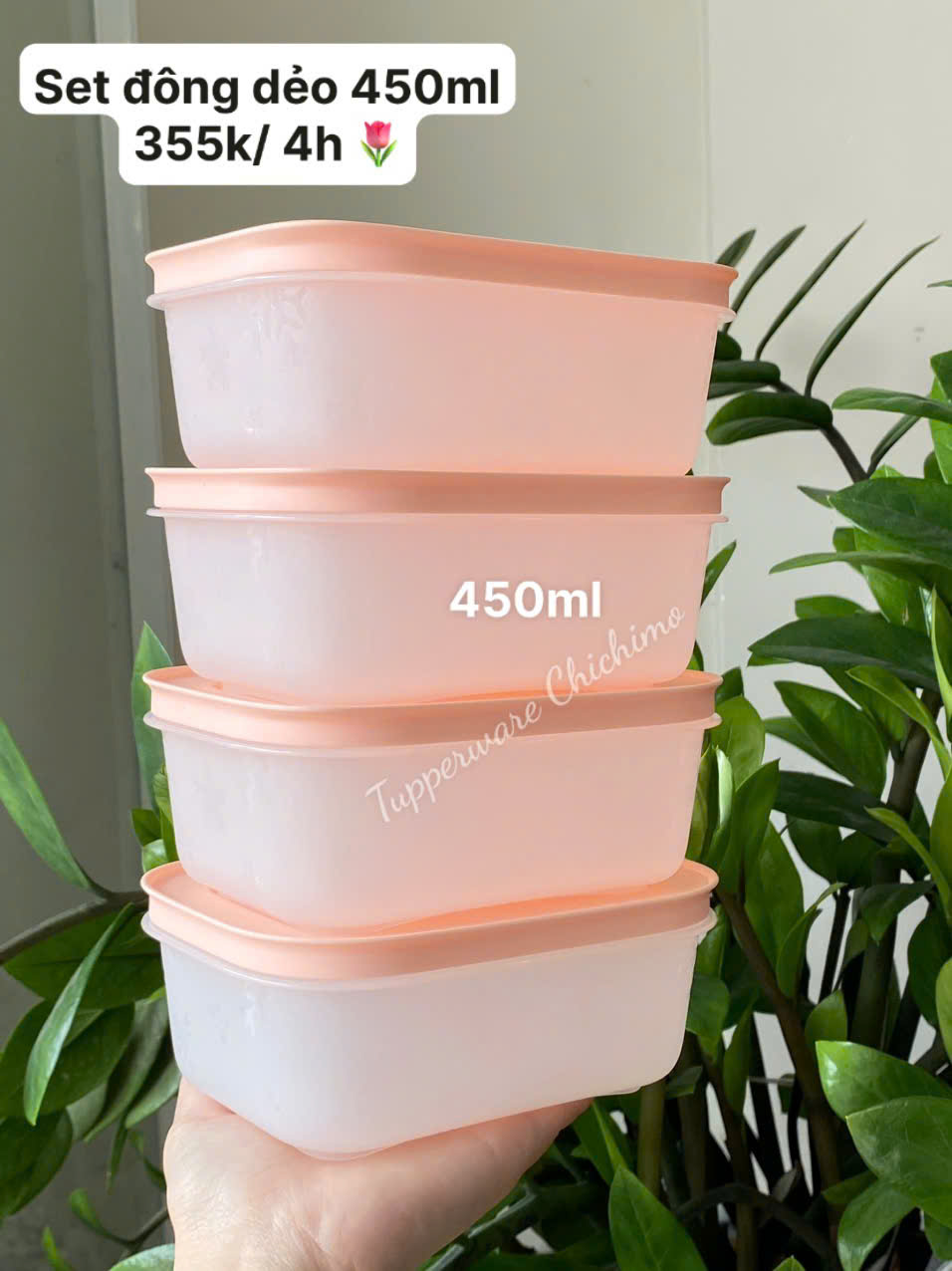 TupTrung - Hộp đông dẻo 450ml nắp xanh cốm