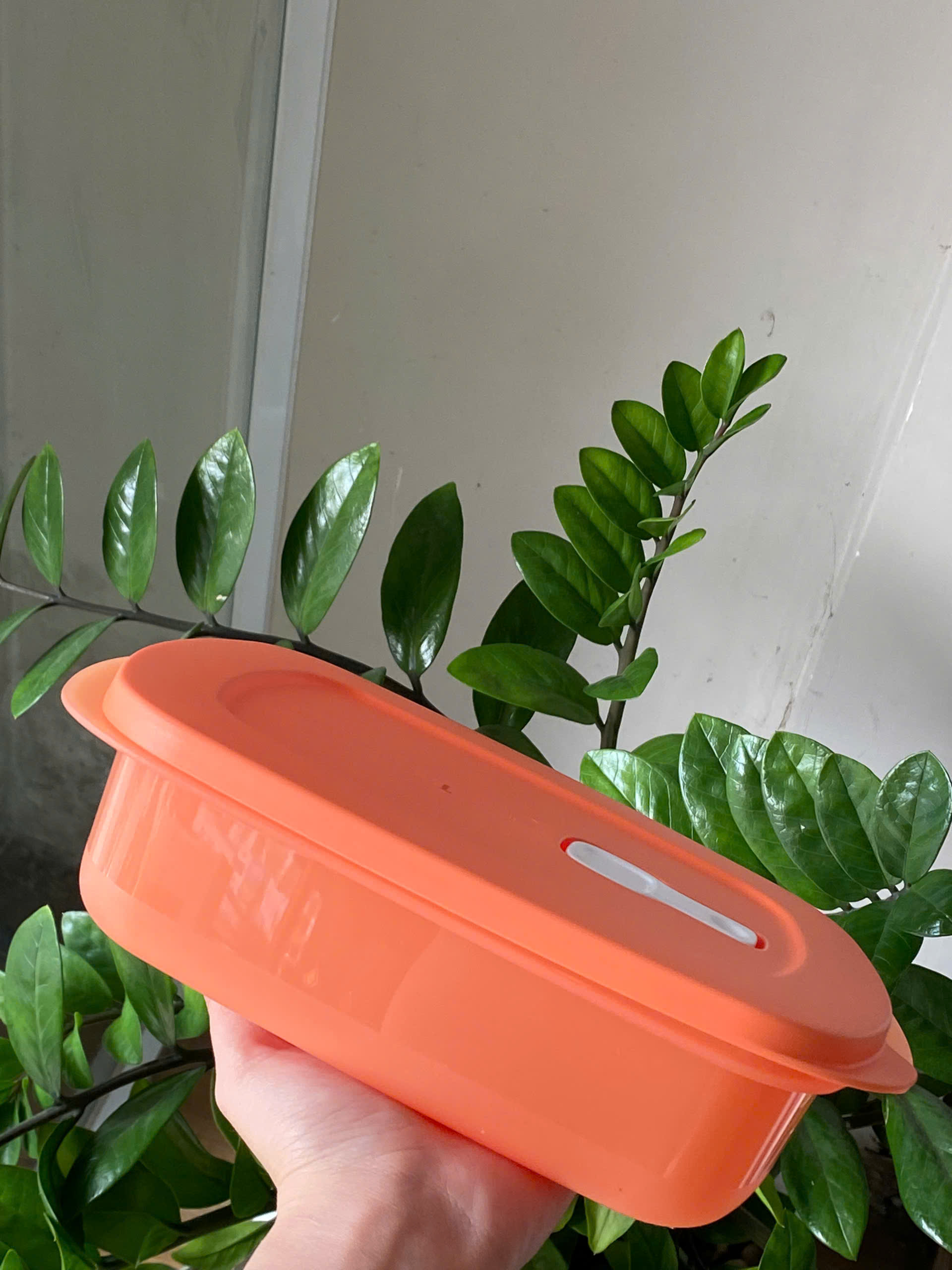 Hộp Dùng Lò Vi Sóng Dạng Chữ Nhật 1L Tupperware