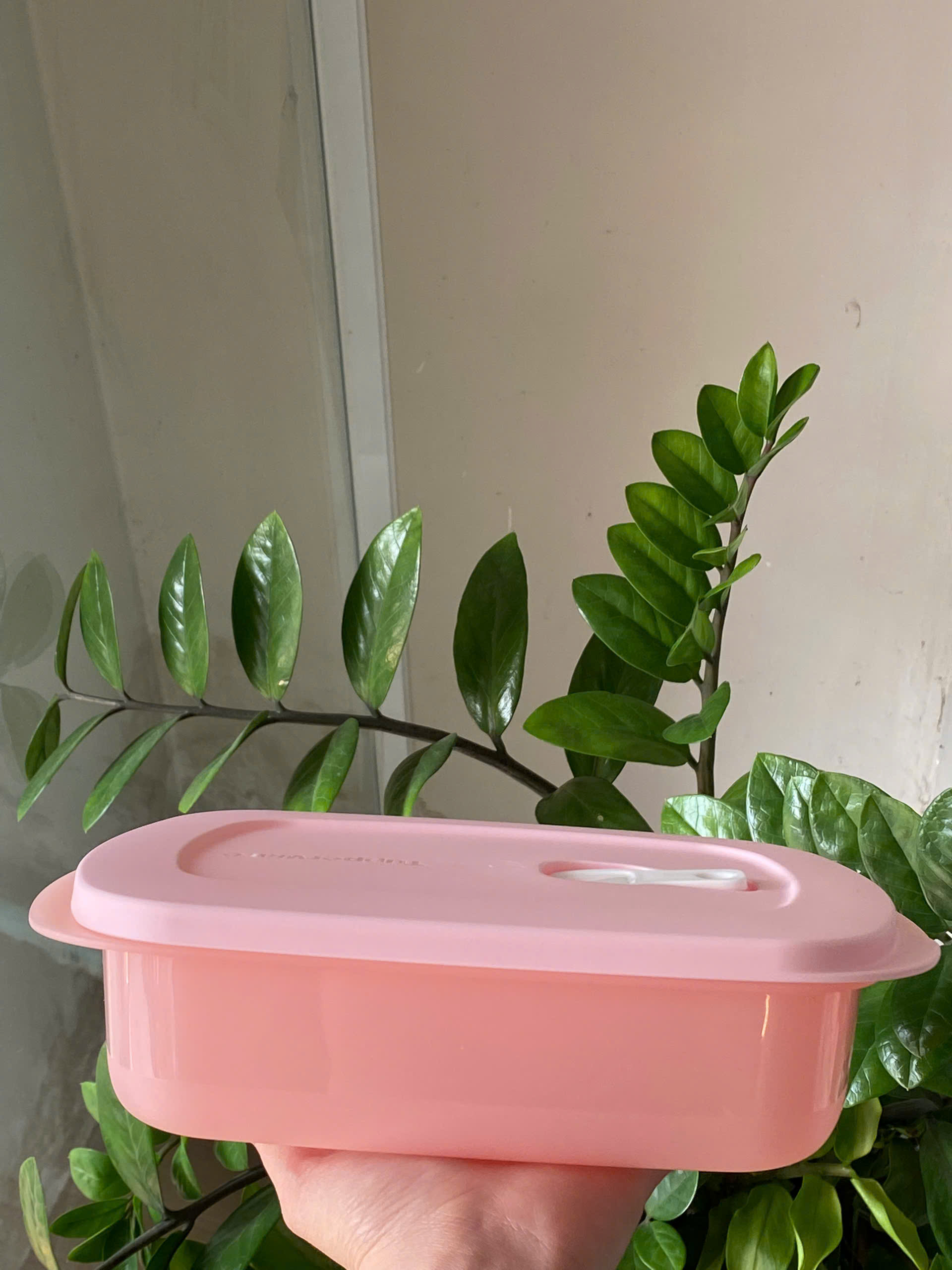 Hộp Dùng Lò Vi Sóng Dạng Chữ Nhật 1L Tupperware