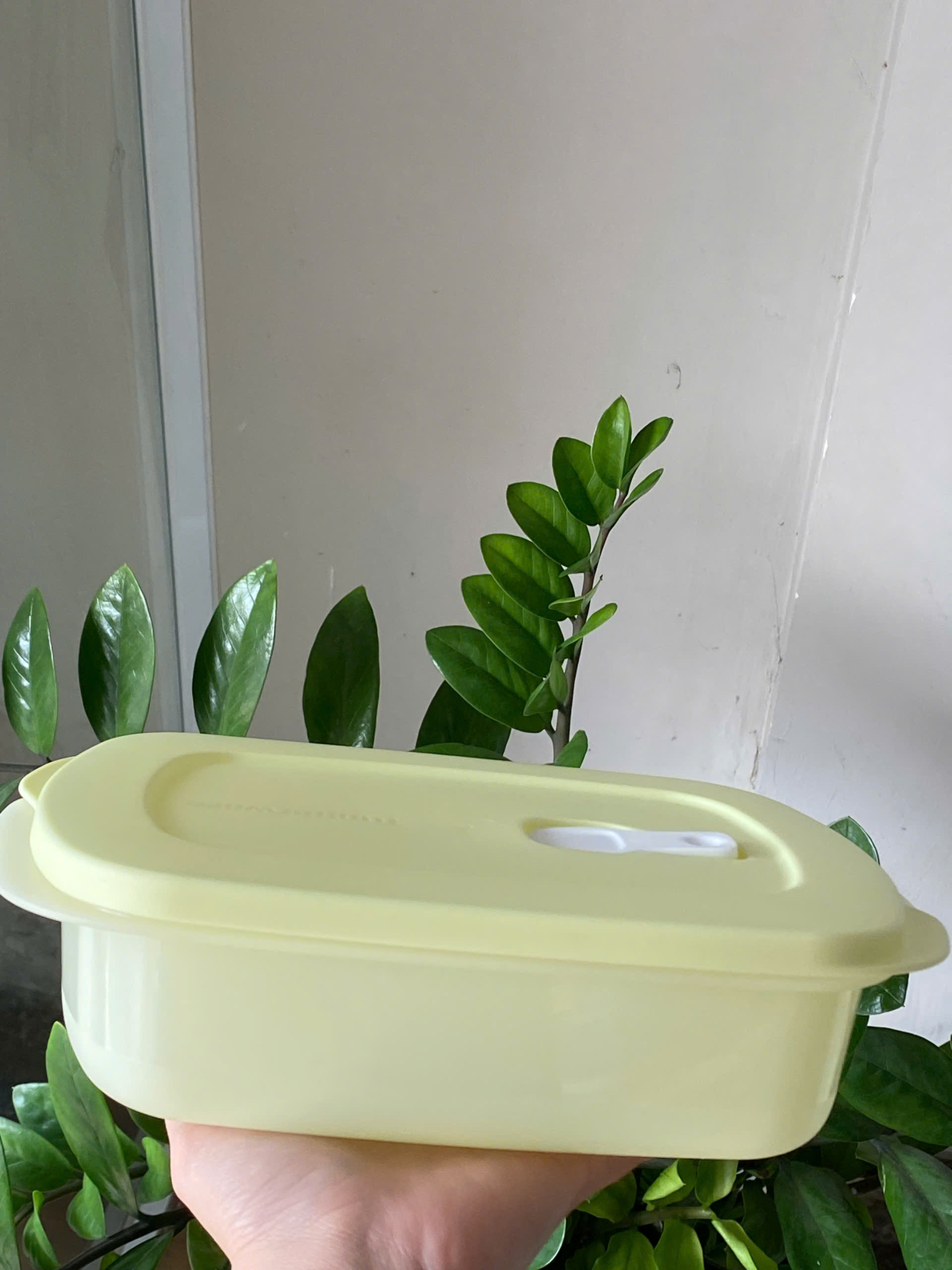 Hộp Dùng Lò Vi Sóng Dạng Chữ Nhật 1L Tupperware
