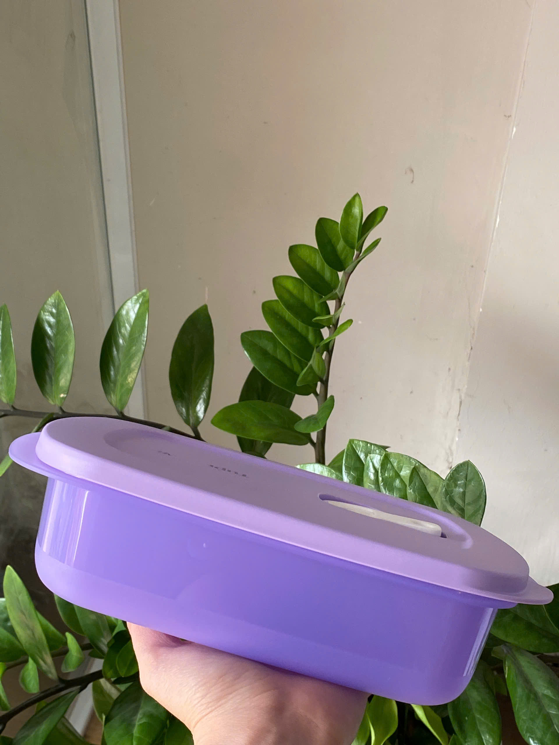 Hộp Dùng Lò Vi Sóng Dạng Chữ Nhật 1L Tupperware