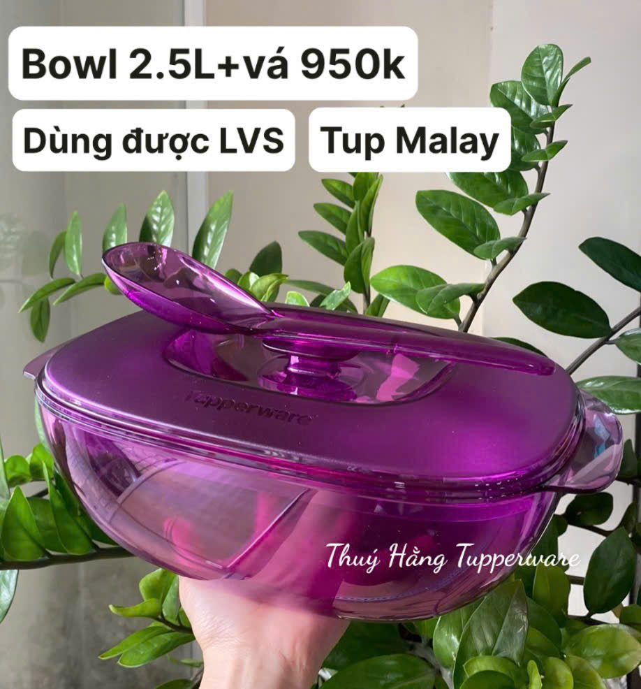 Tupmalay Tô Cơm Clear Bowl Kèm Vá Nắp Thân Trong