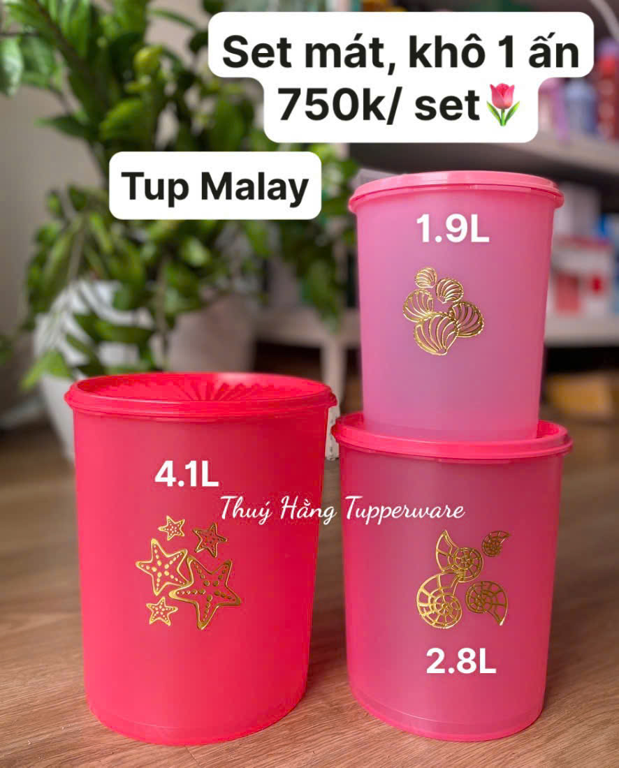 Tupmalay Set Hộp Hình Trụ Khô One Touch Có Hình Giữa Thân (01 Set)