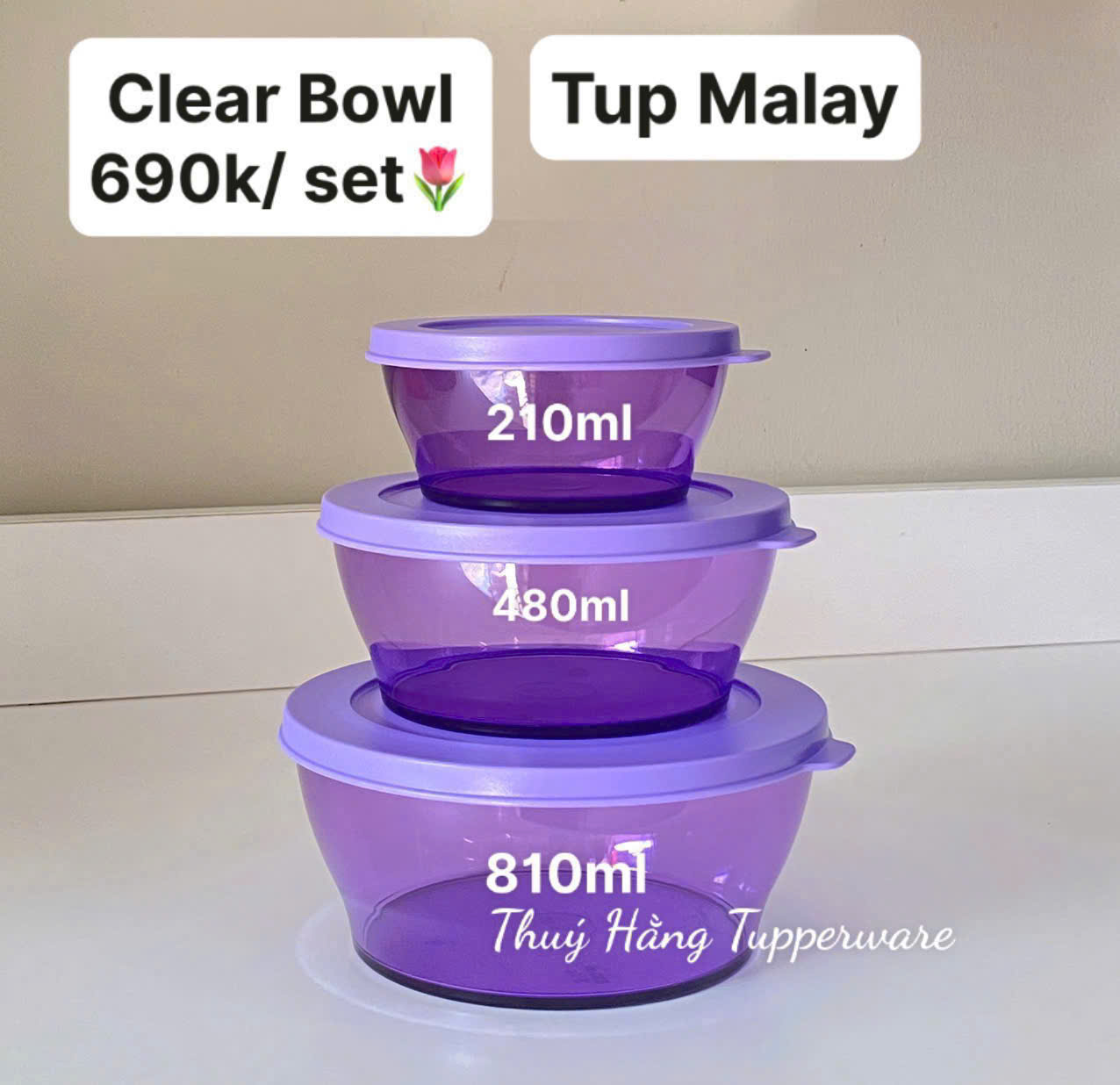 Hộp Tròn Tupperware Clear Bowl Purple - Tupperware Malaysia Chính Hãng