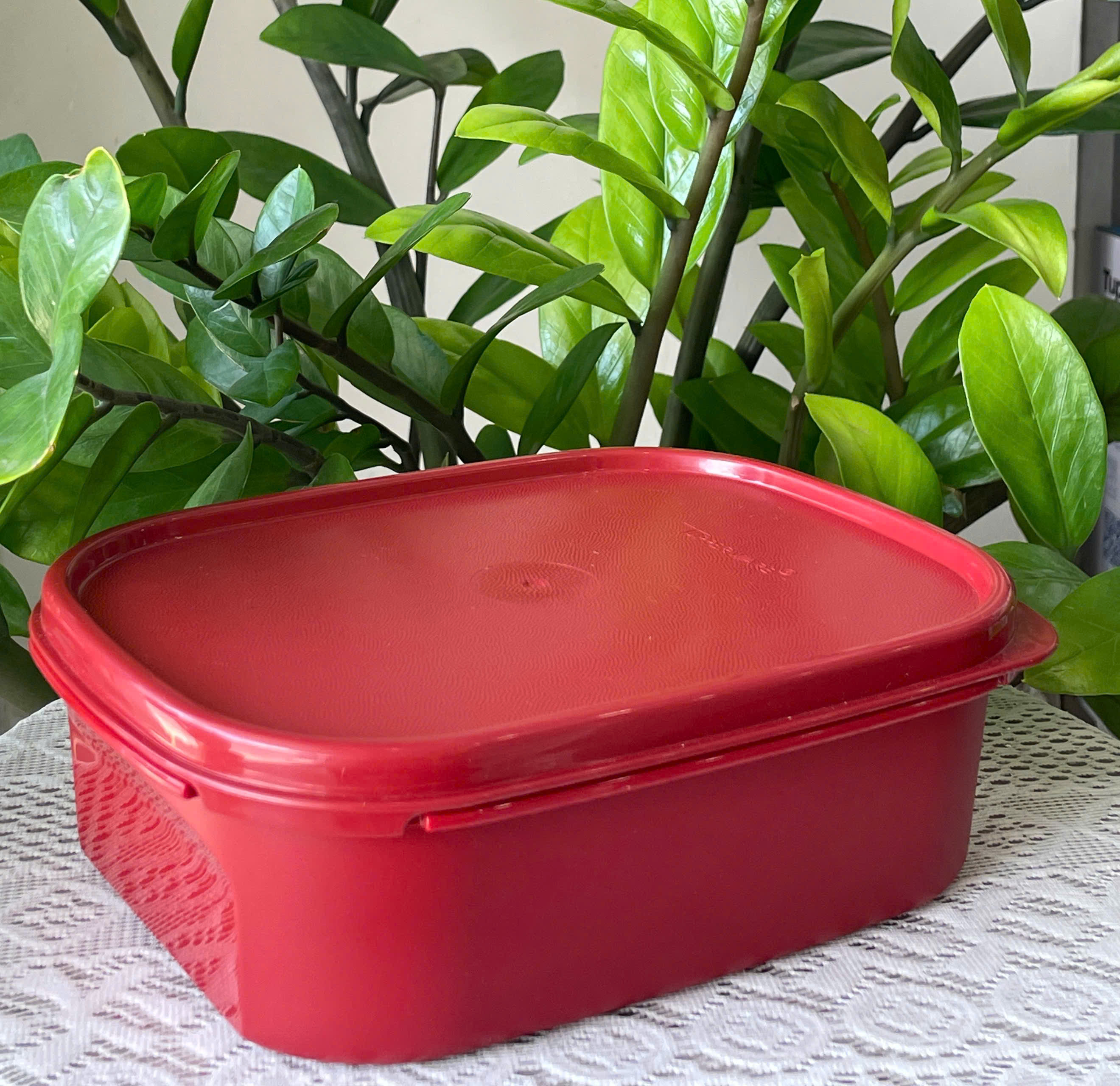 Tuptrung - Hộp Kimchi Full Đỏ Không Quai