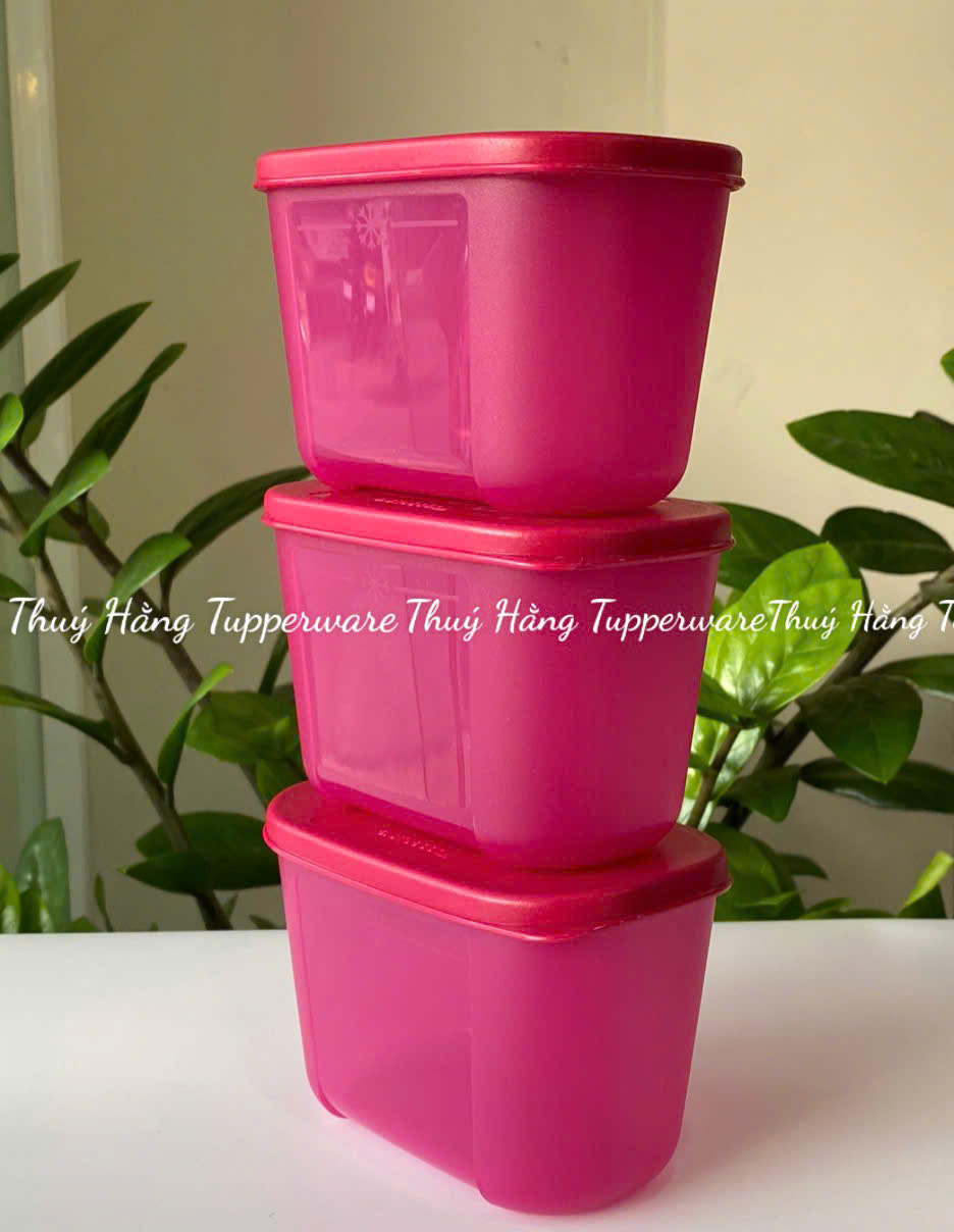 Hộp  Tupperware Trữ Đông Thường 300ml - Tupperware Trung Chính Hãng