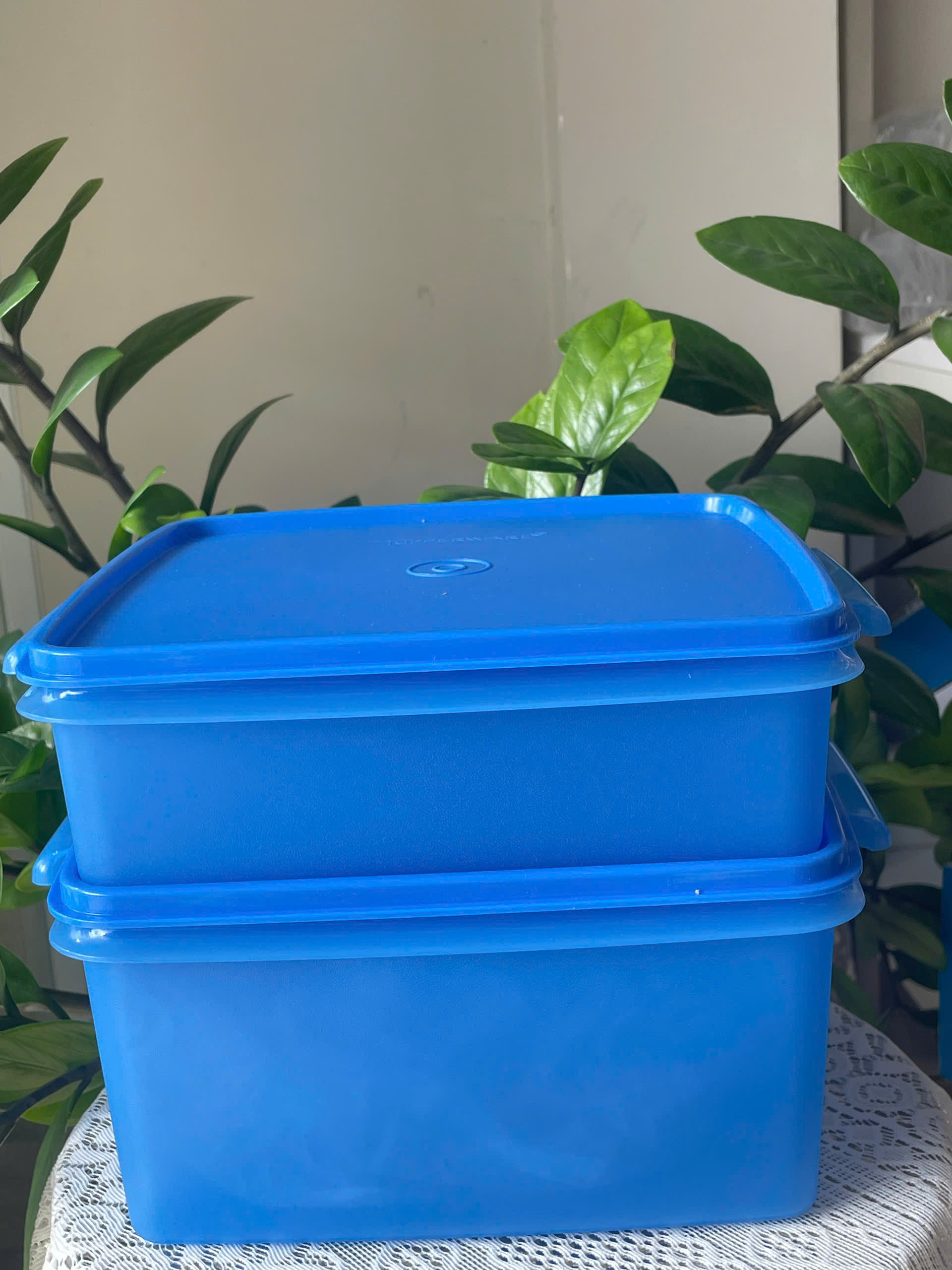 Bộ 2 Hộp Tupperware Goodybox 2L+4L - Có Quai  - Tupperware Malaysia Chính Hãng