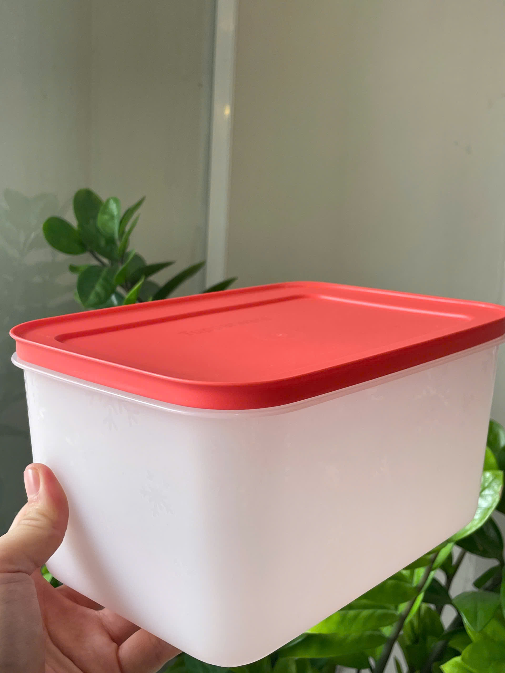 Hộp Tupperware Trữ Đông 2.5L - Nắp Đỏ - Đông Dẻo - Tupperware Trung Chính Hãng