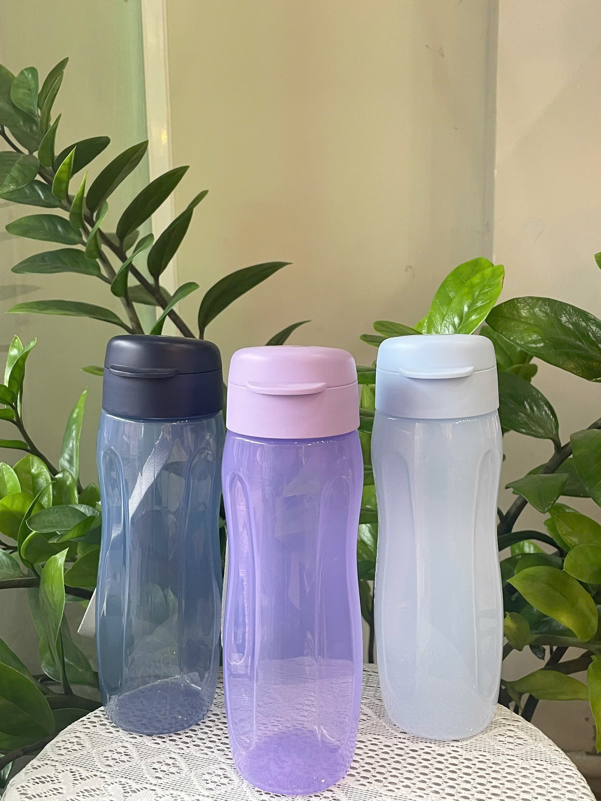 Bình Nước Tupperware Eco Bottle Gen II 500ml - Tupperware Chính Hãng