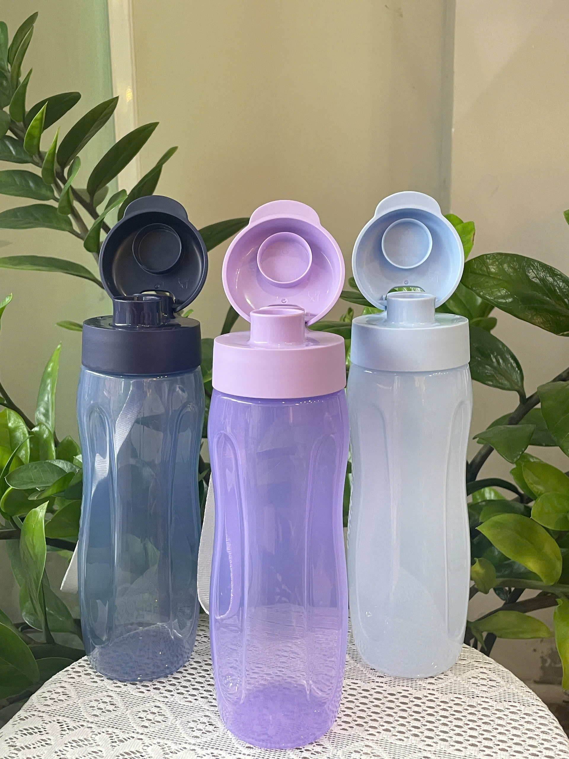 Bình Nước Tupperware Eco Bottle Gen II 500ml - Tupperware Chính Hãng