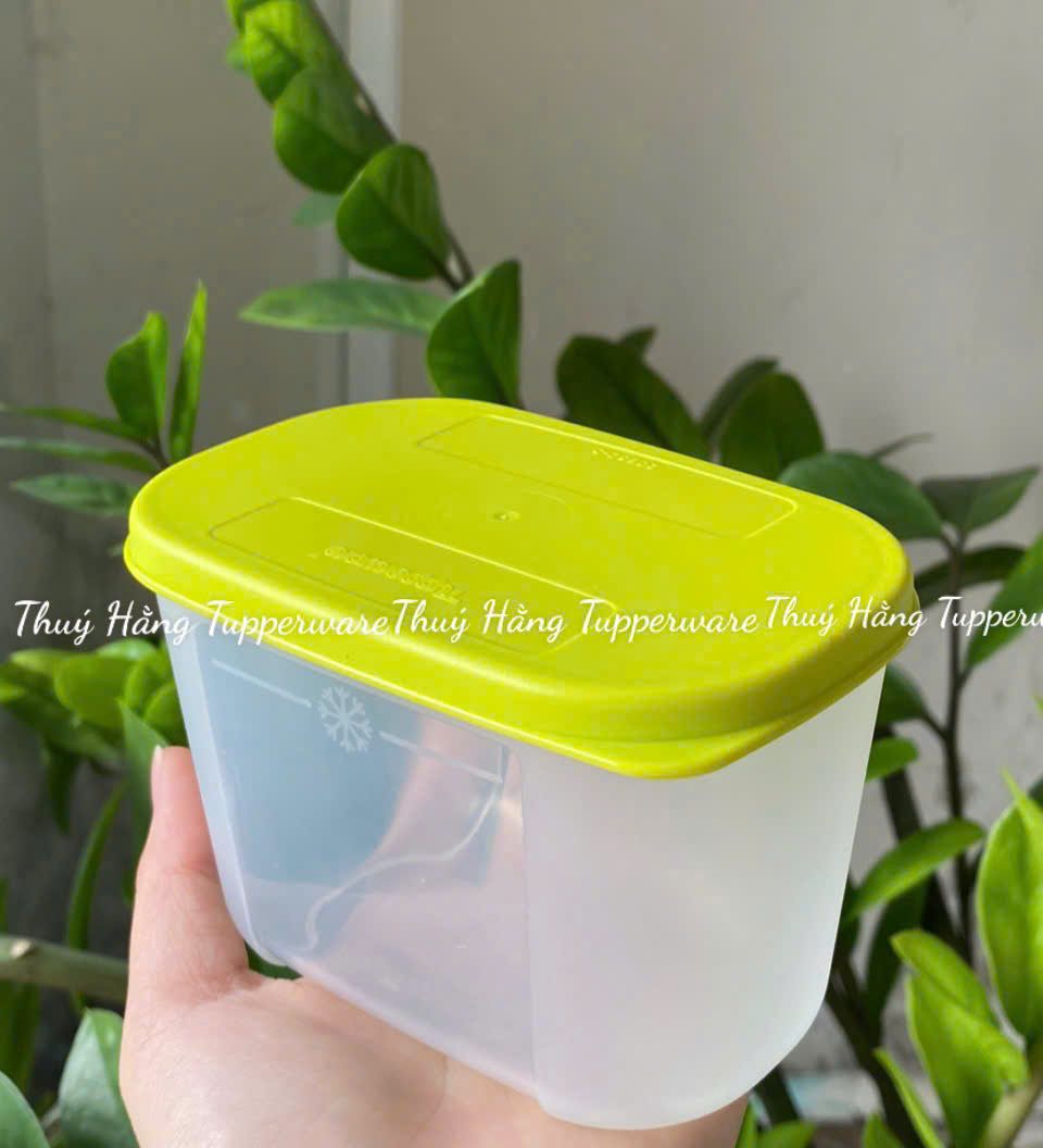 Hộp  Tupperware Trữ Đông Thường 300ml - Tupperware Trung Chính Hãng