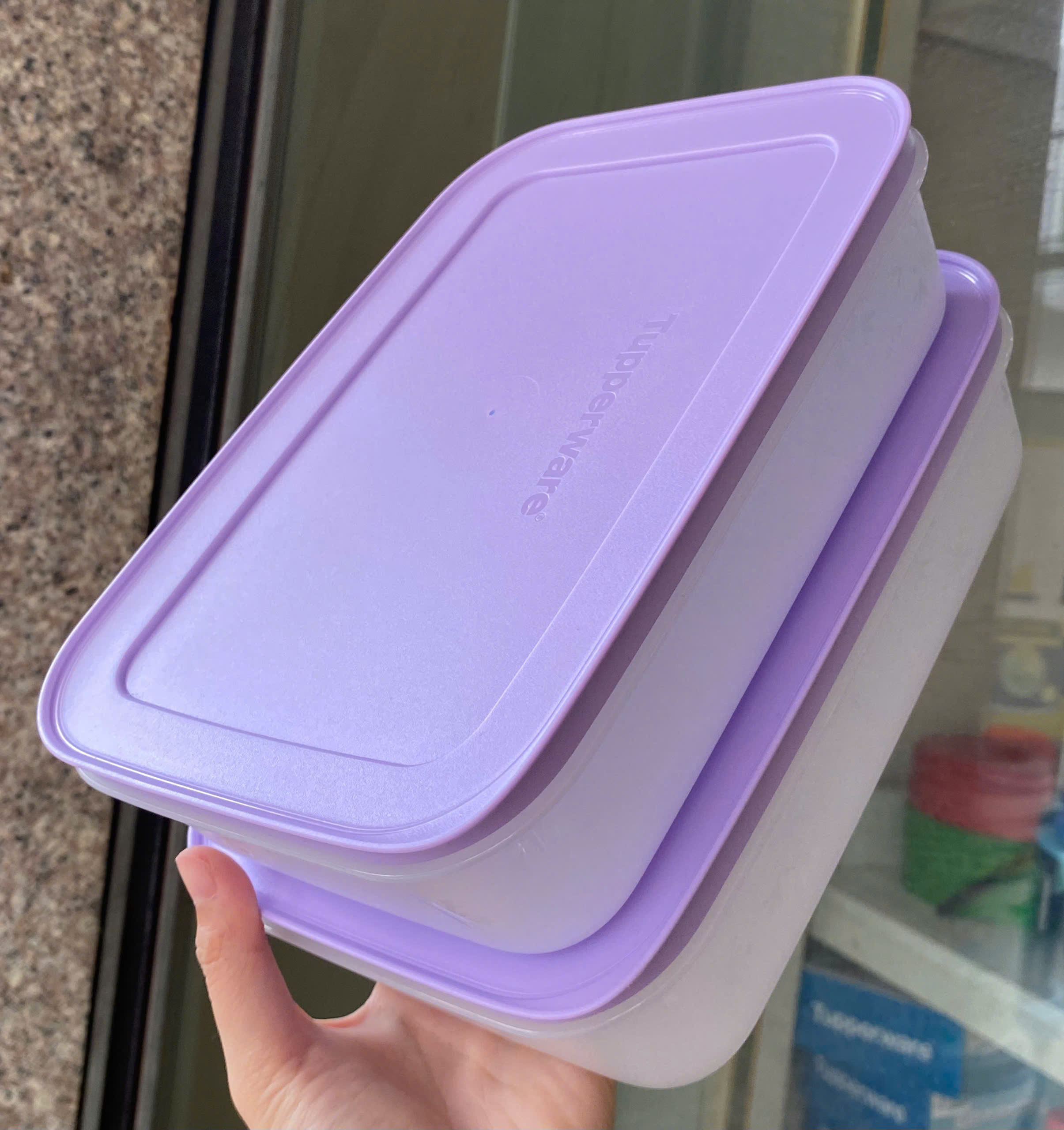 Hộp đông dẻo 1L dạng dẹt - Tupperware Trung Chính Hãng