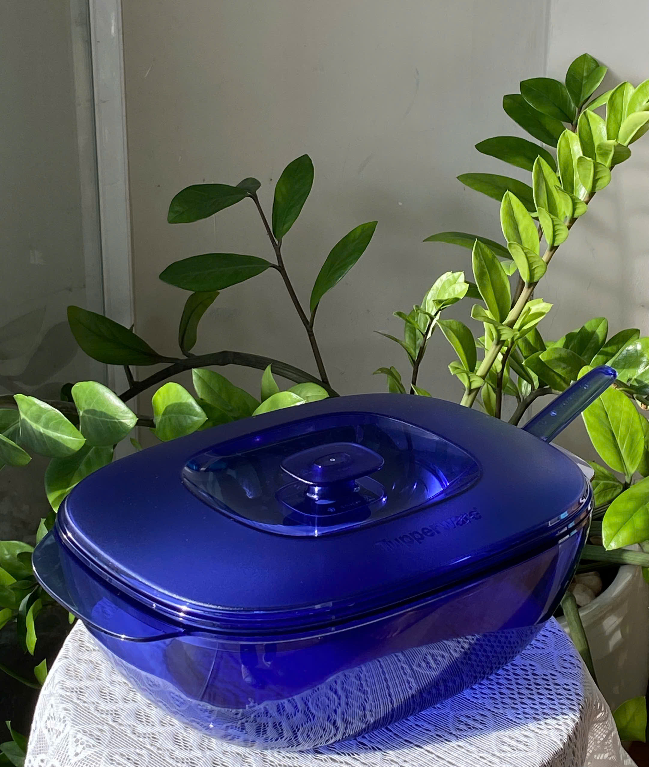Tupmalay Tô Cơm Clear Bowl Kèm Vá Nắp Thân Trong