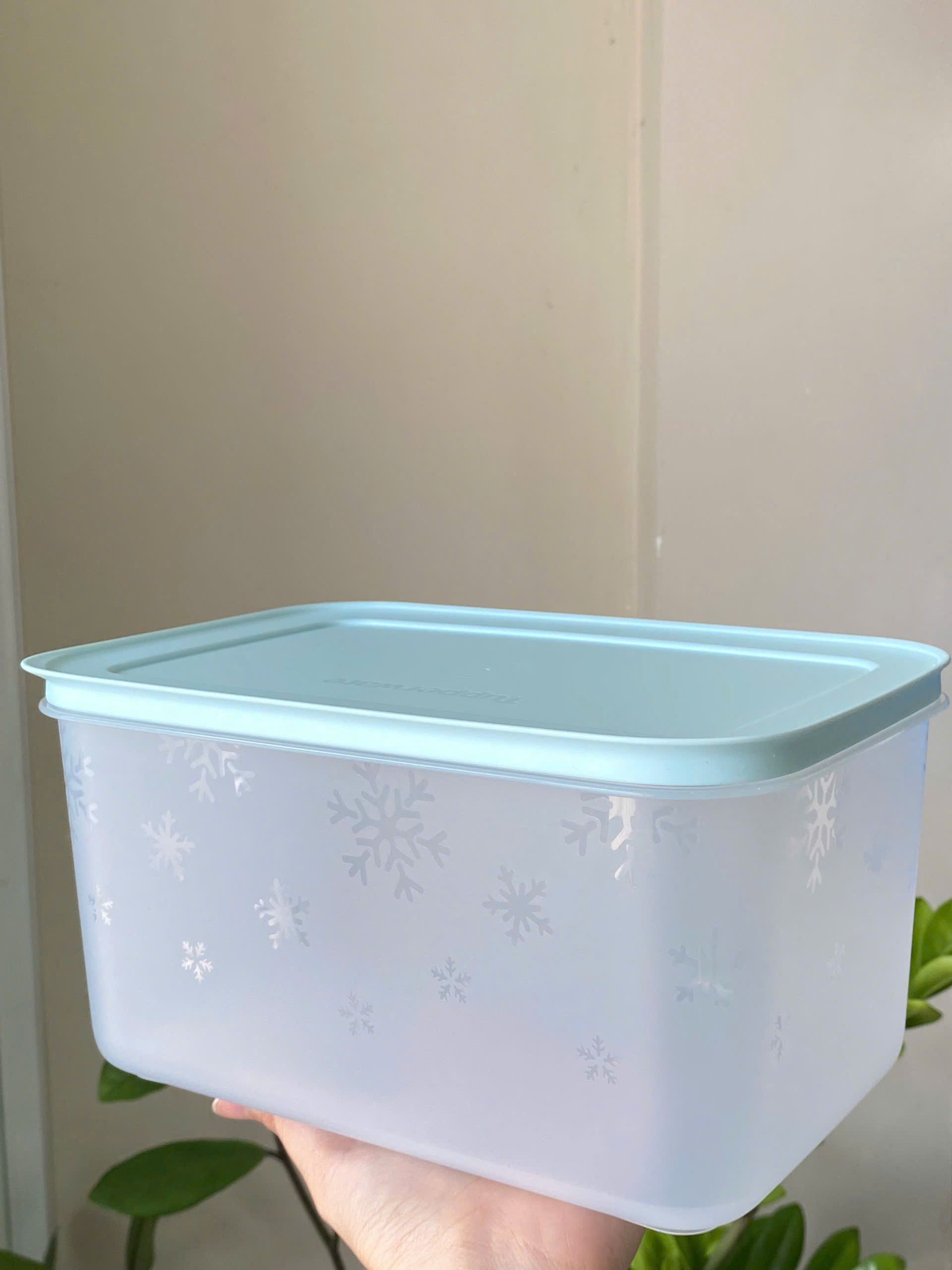 Tuptrung - 6 Hộp đông xanh min thân trong bông tuyết - gồm 2h 450ml 2h 1.1L 1h dẹp 1L 1h 2.5L - Tupperware