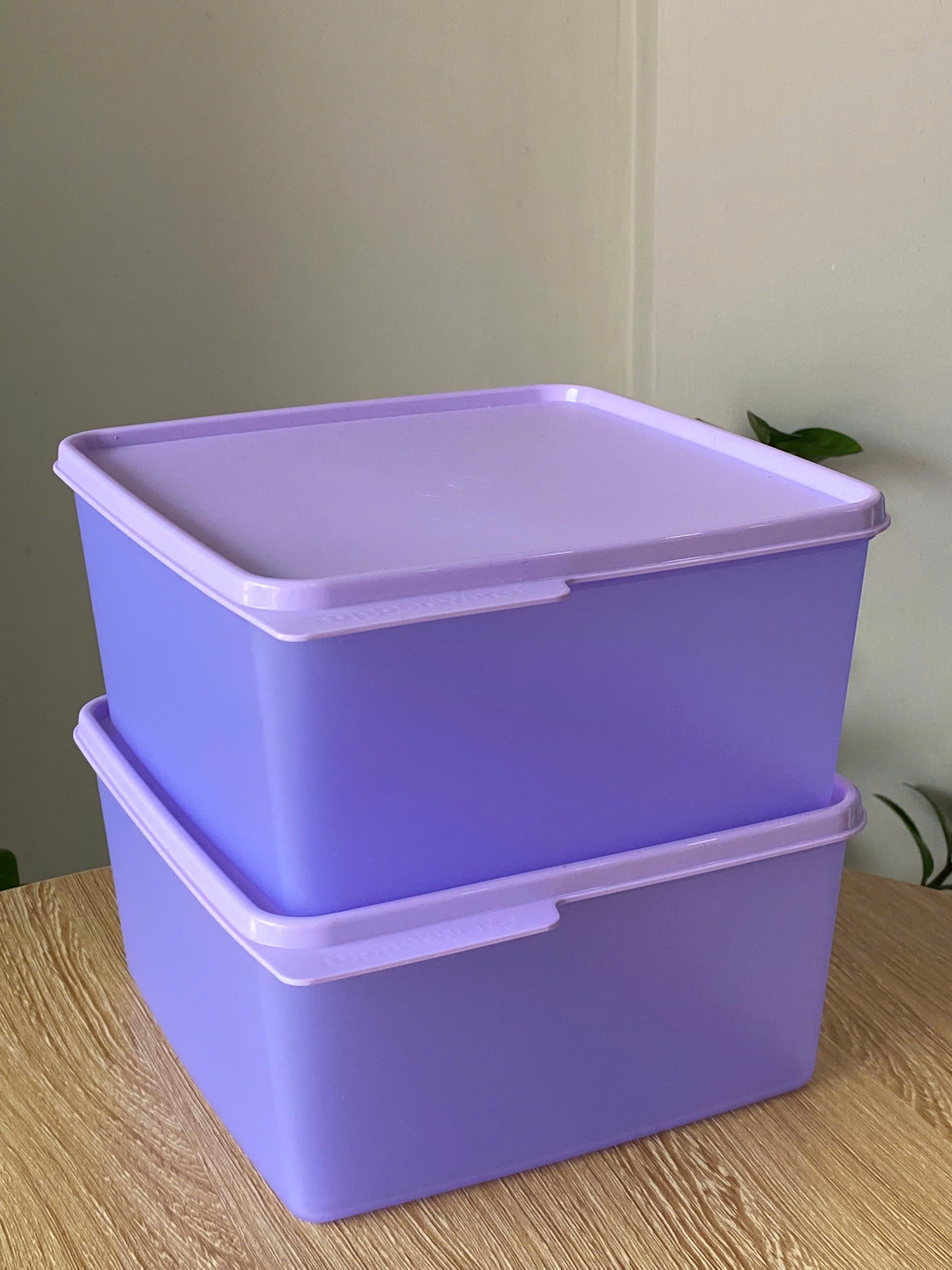 Hộp Tupperware Trữ Mát Vuông Snack & Stack - Tupperware Malaysia Chính Hãng