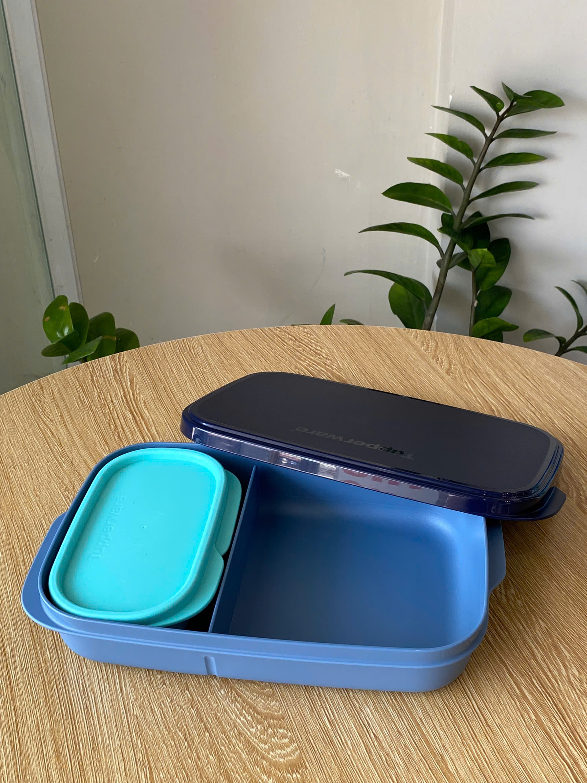 Bộ Hộp Cơm Tupperware Slim Lunch Container 590ml+110ml - Tupperware Malaysia Chính Hãng