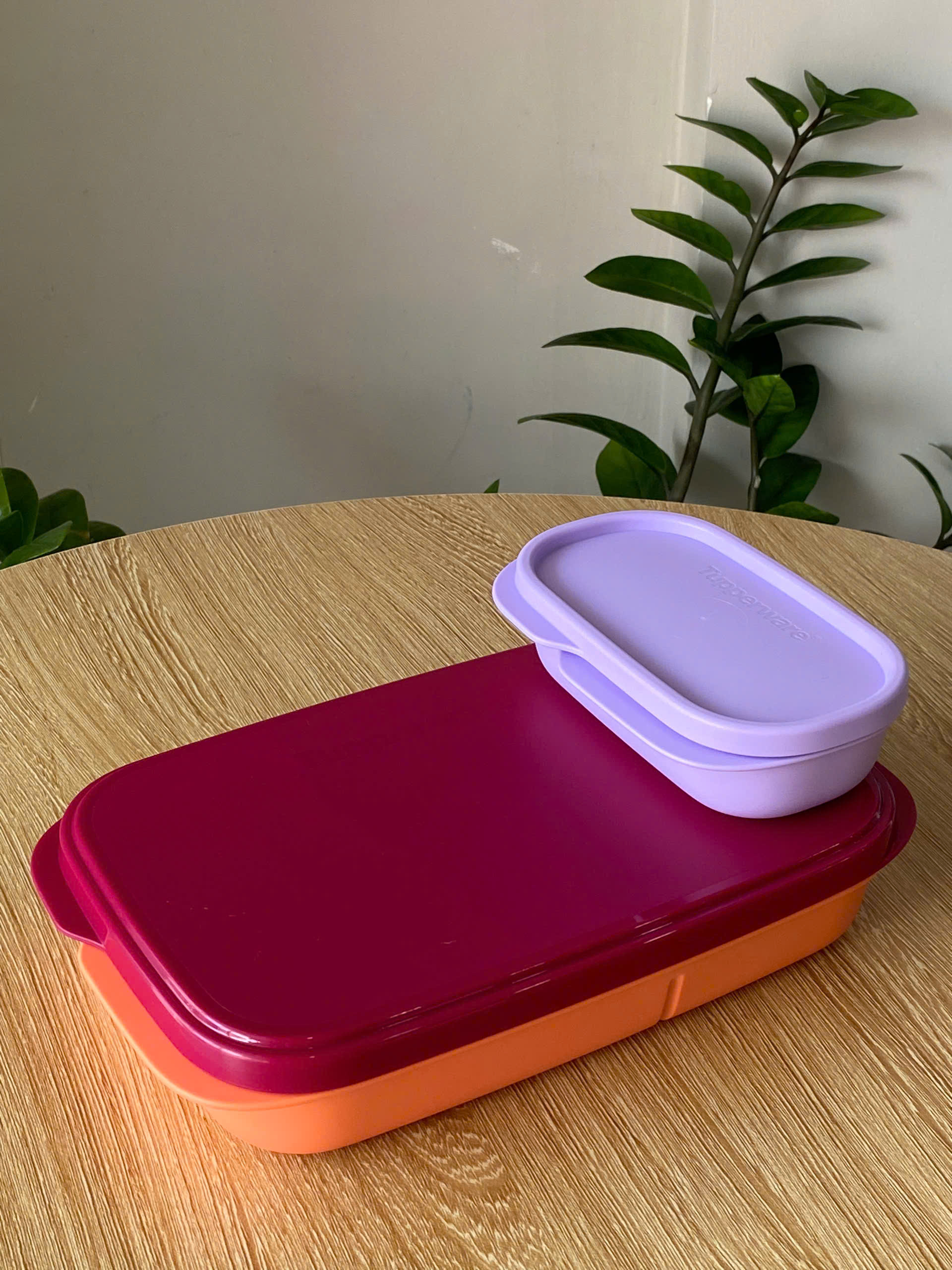 Bộ Hộp Cơm Tupperware Slim Lunch Container 590ml+110ml - Tupperware Malaysia Chính Hãng