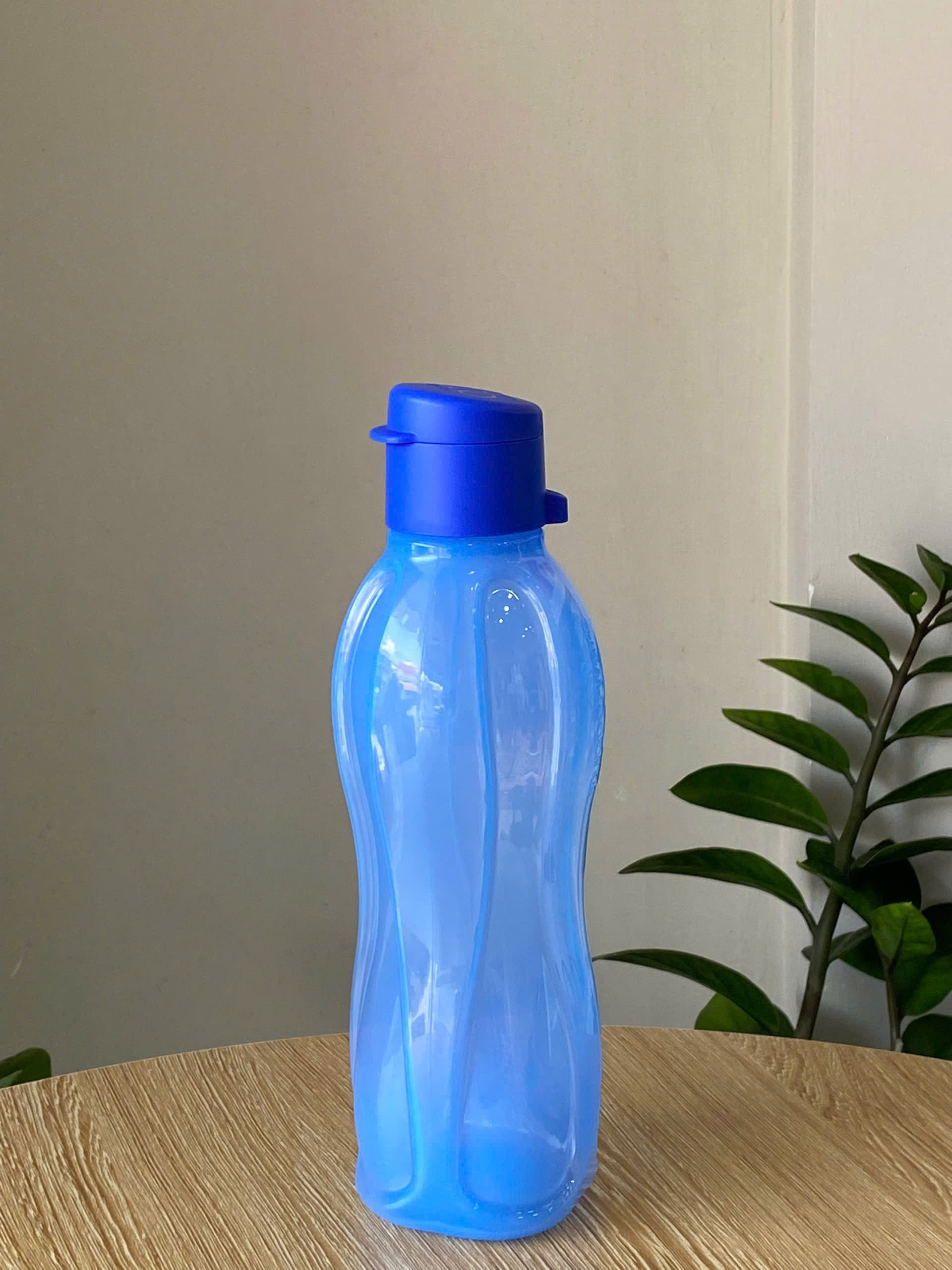 Bình Nước Tuperware Eco Bottle Gen I 500ml - Nắp Vặn Miệng Nhỏ - Tupperware Malaysia Chính Hãng