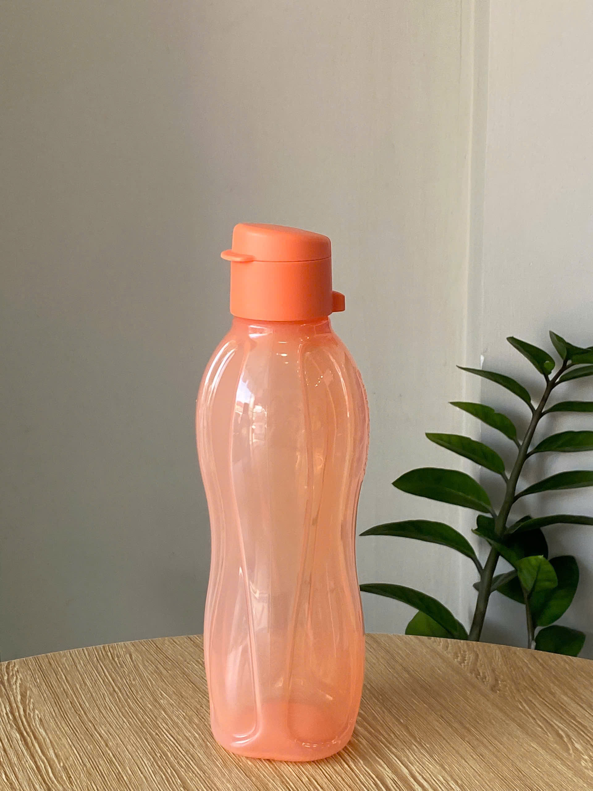 Bình Nước Tuperware Eco Bottle Gen I 500ml - Nắp Vặn Miệng Nhỏ - Tupperware Malaysia Chính Hãng
