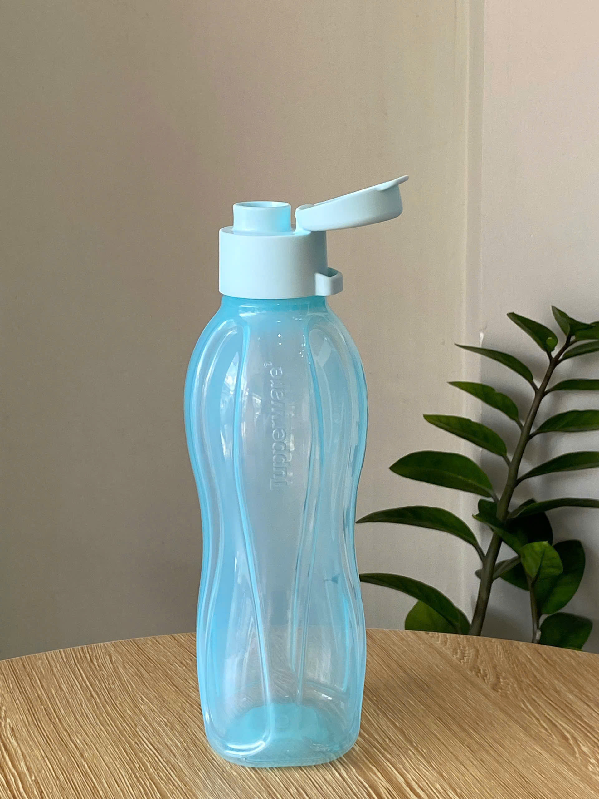 Bình Nước Tuperware Eco Bottle Gen I 500ml - Nắp Vặn Miệng Nhỏ - Tupperware Malaysia Chính Hãng