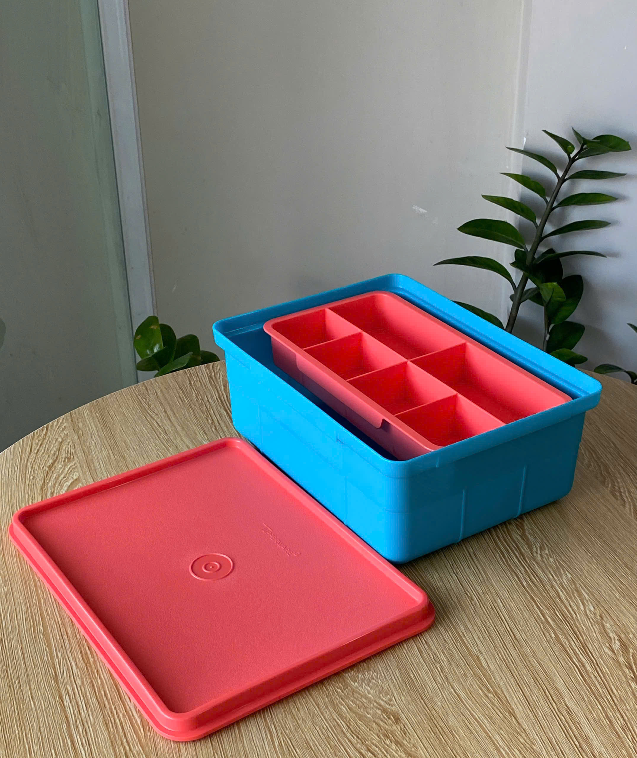 Bộ Khay Tupperware Đựng Sushi, Topping 2 ngăn Fun Keeper - Tupperware Malaysia Chính Hãng