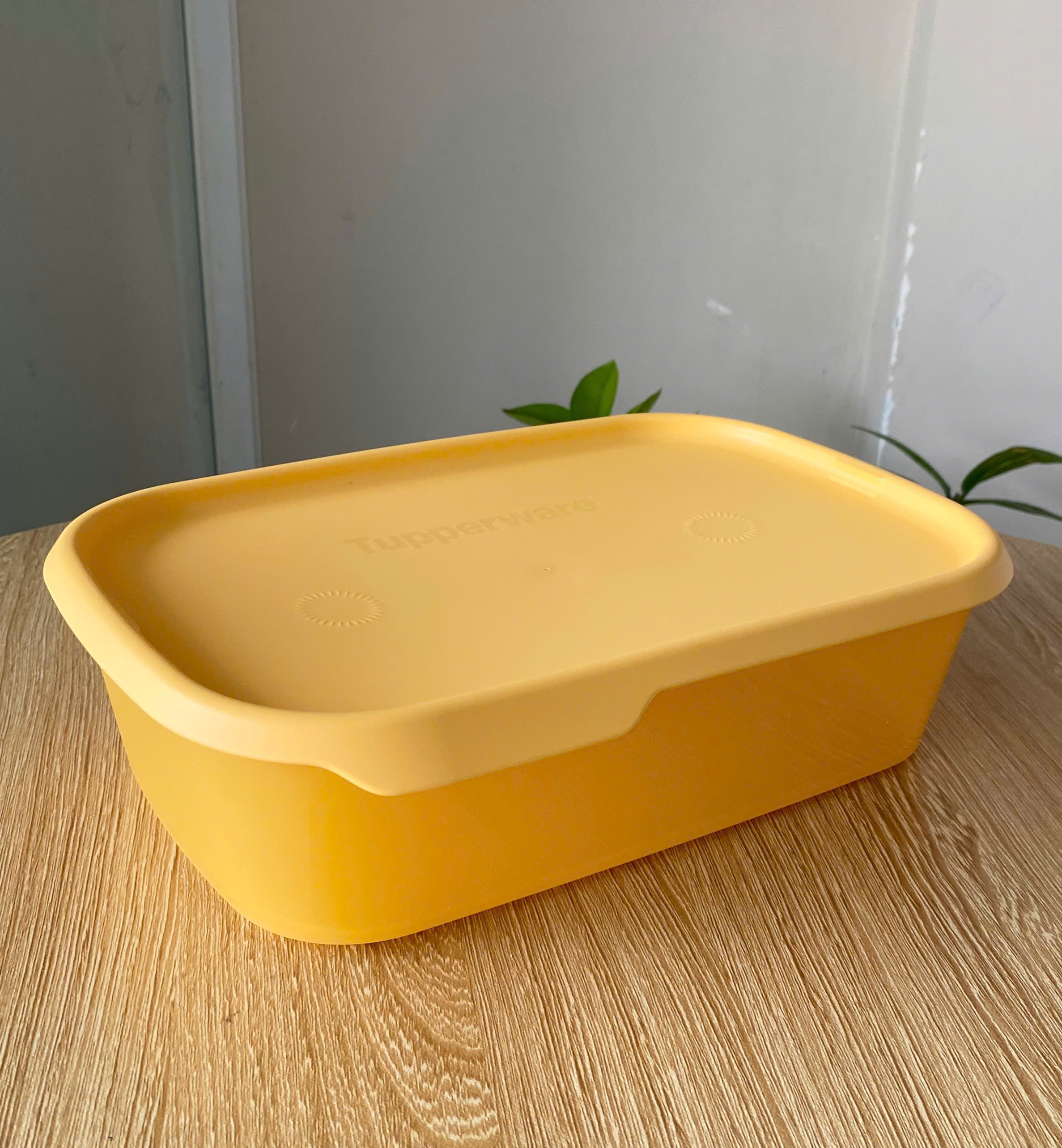 Hộp Tupperware Trữ Khô/ Mát One Touch - Màu Vàng