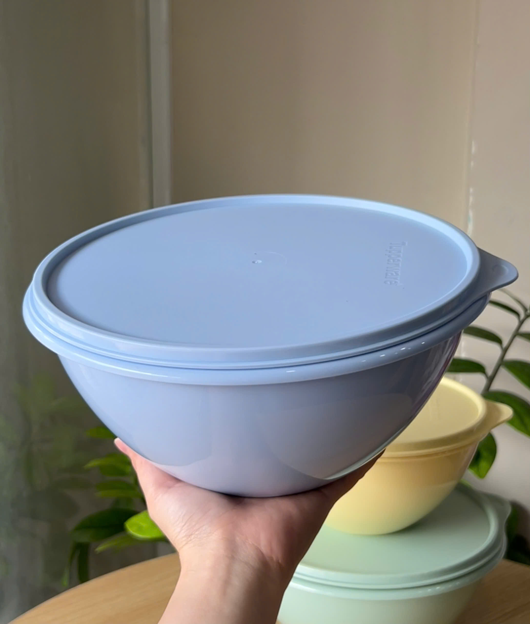 Hộp Đựng Thực Phẩm Tupperware Trữ Khô Và Mát Original Bowl 2.5L 1.7L 1.1L - New Tupperware