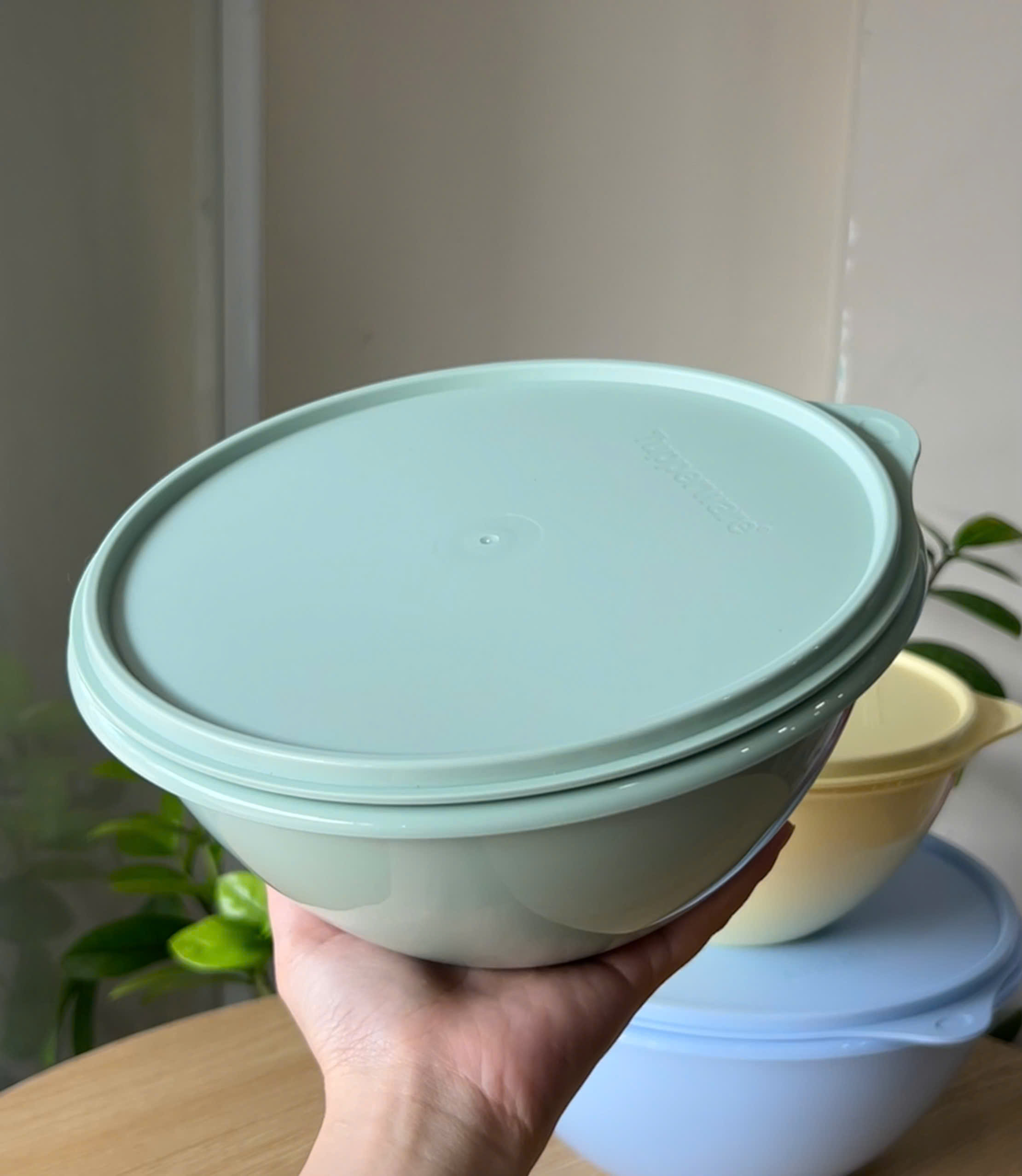 Hộp Đựng Thực Phẩm Tupperware Trữ Khô Và Mát Original Bowl 2.5L 1.7L 1.1L - New Tupperware