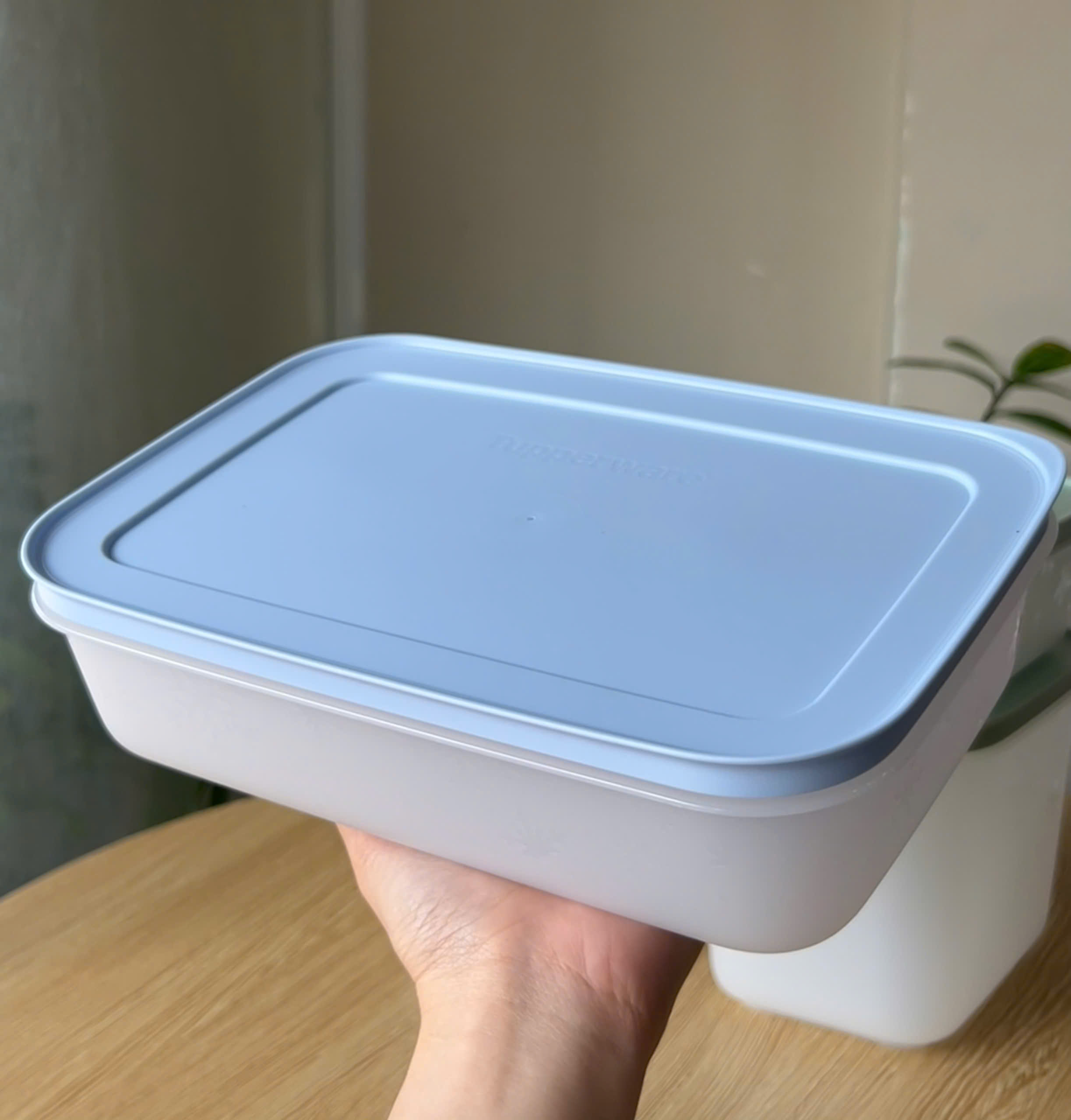 Hộp đựng thực phẩm Tupperware trữ đông Gen II - New Tupperware
