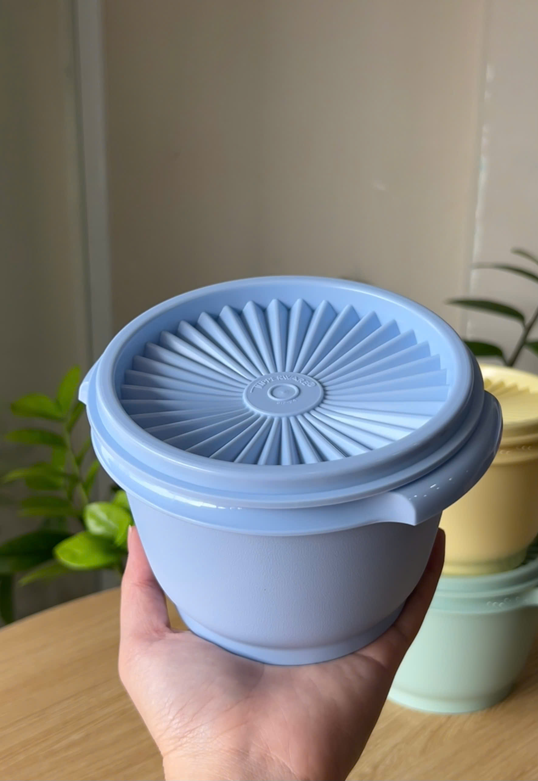 3 Hộp Đựng Thực Phẩm Tupperware Trữ Khô Và Mát Heritage Small 600ml - New Tupperware