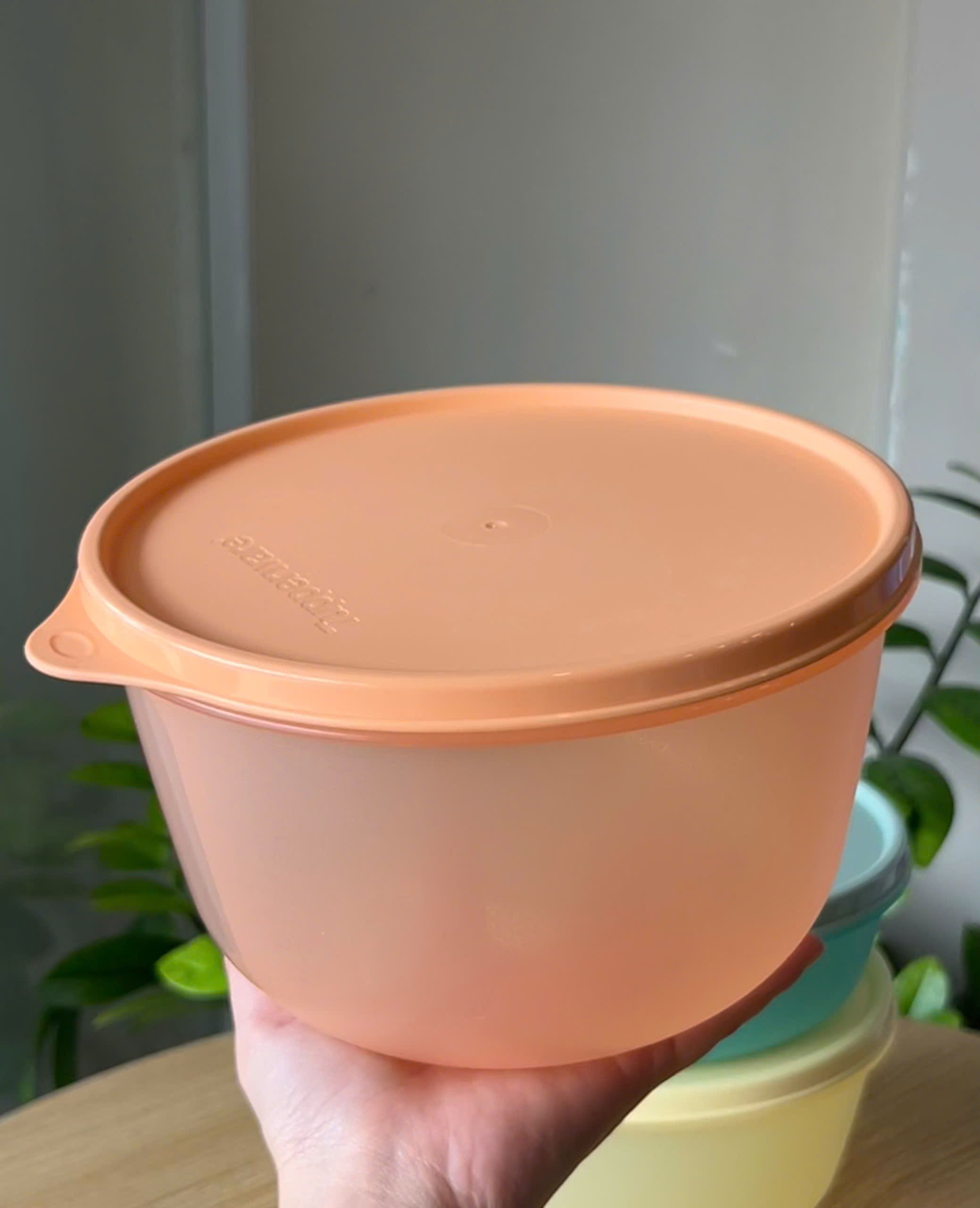 3 hộp đựng thực phẩm Tupperware trữ khô và mát Modular Bowl Variety 1.9L 1.4L 950ml - New Tupperware