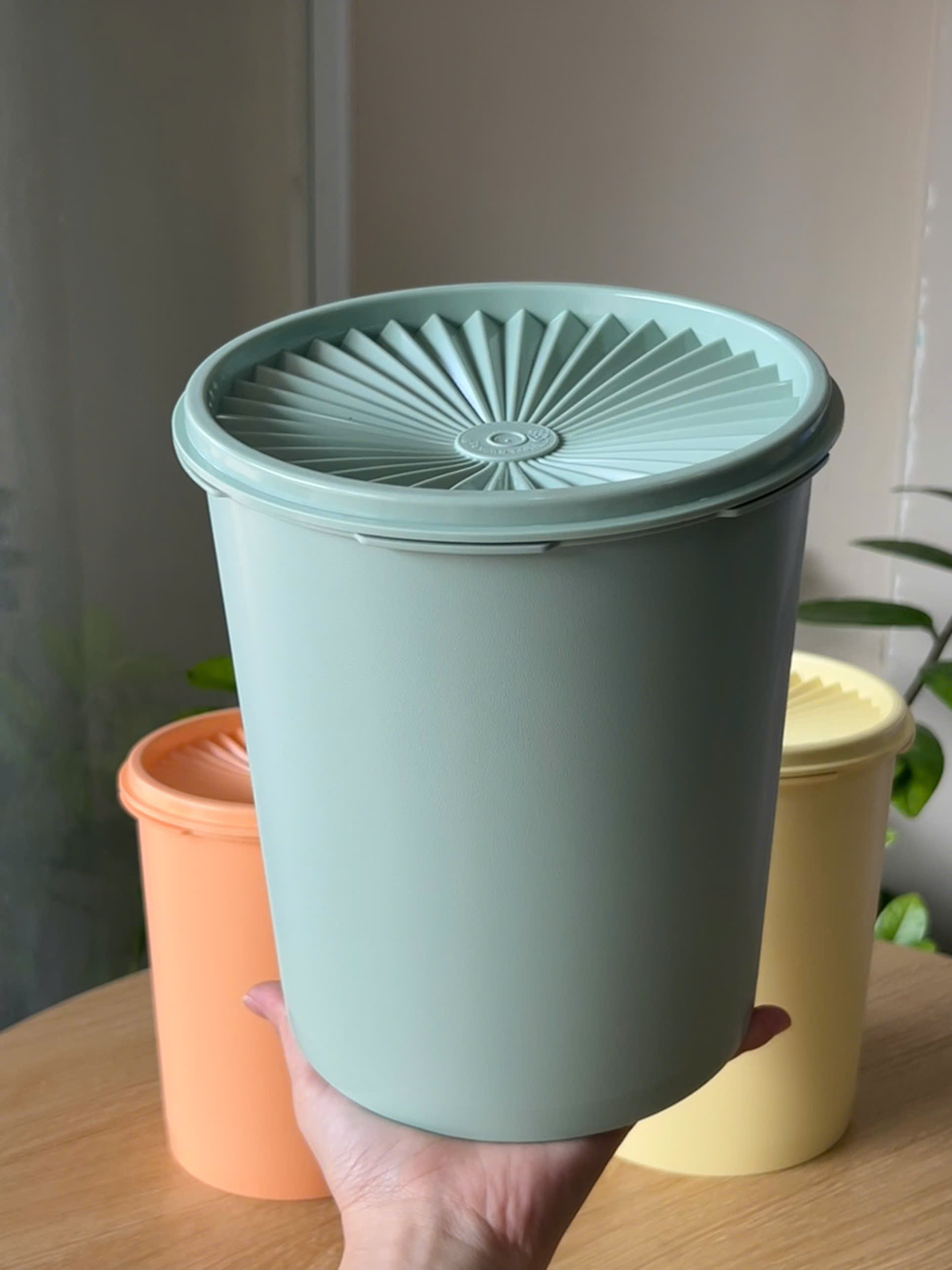 3 Hộp Đựng Thực Phẩm Tupperware Decorator 2.7L, 1.8L 1.2L - New Tupperware