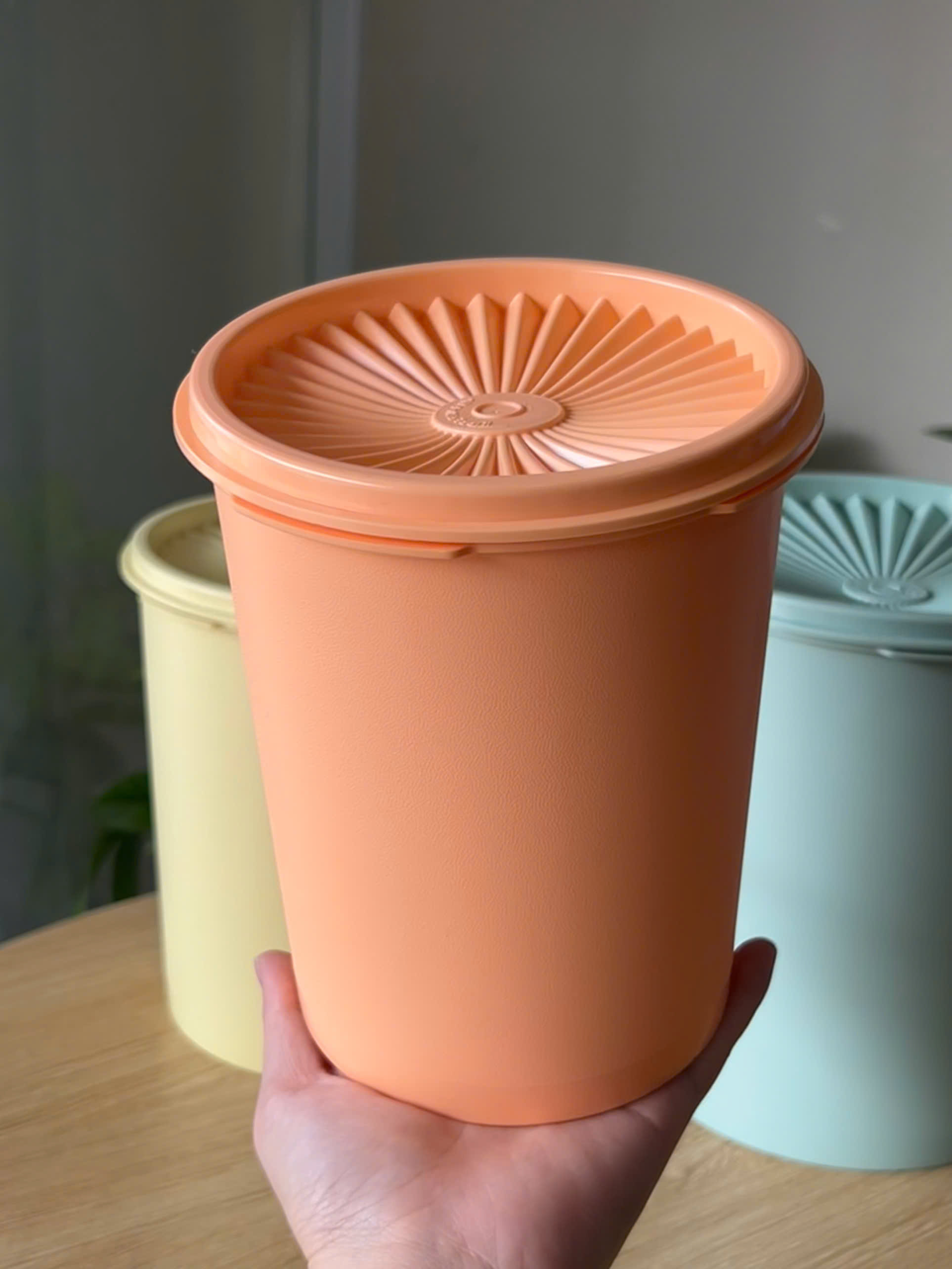 3 Hộp Đựng Thực Phẩm Tupperware Decorator 2.7L, 1.8L 1.2L - New Tupperware