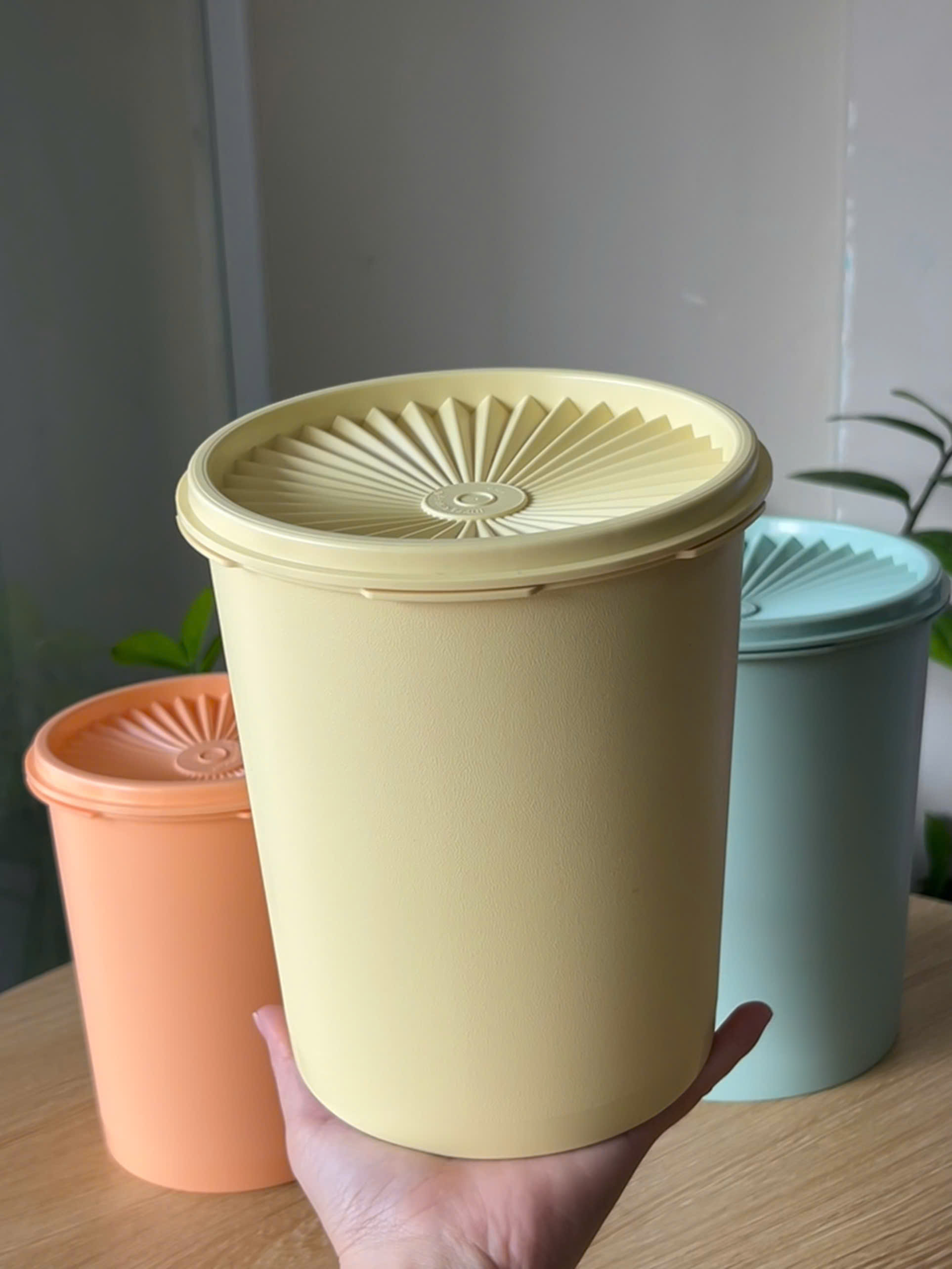 3 Hộp Đựng Thực Phẩm Tupperware Decorator 2.7L, 1.8L 1.2L - New Tupperware