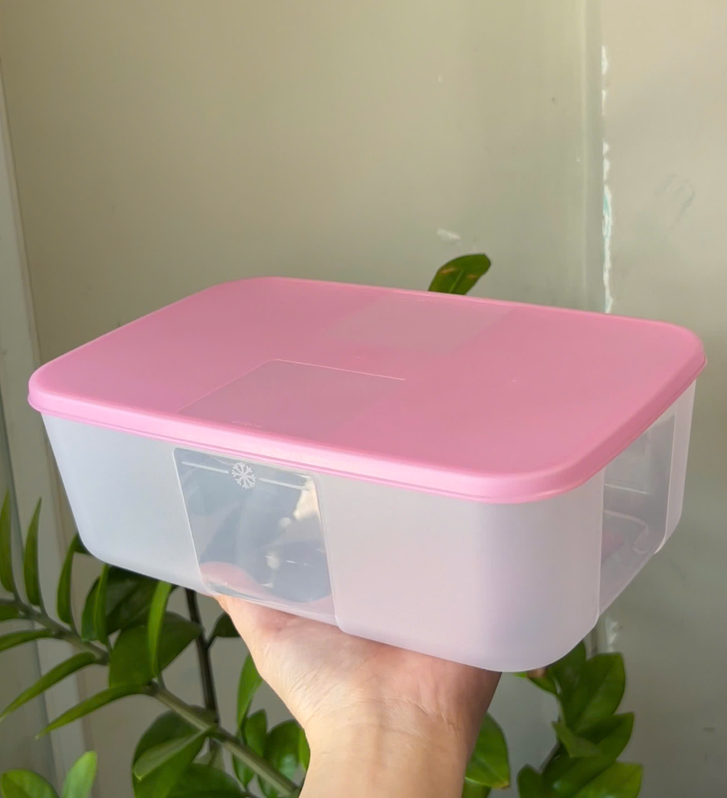 Hộp Tupperware Đông 1.7L - Tupperware Trung Chính Hãng