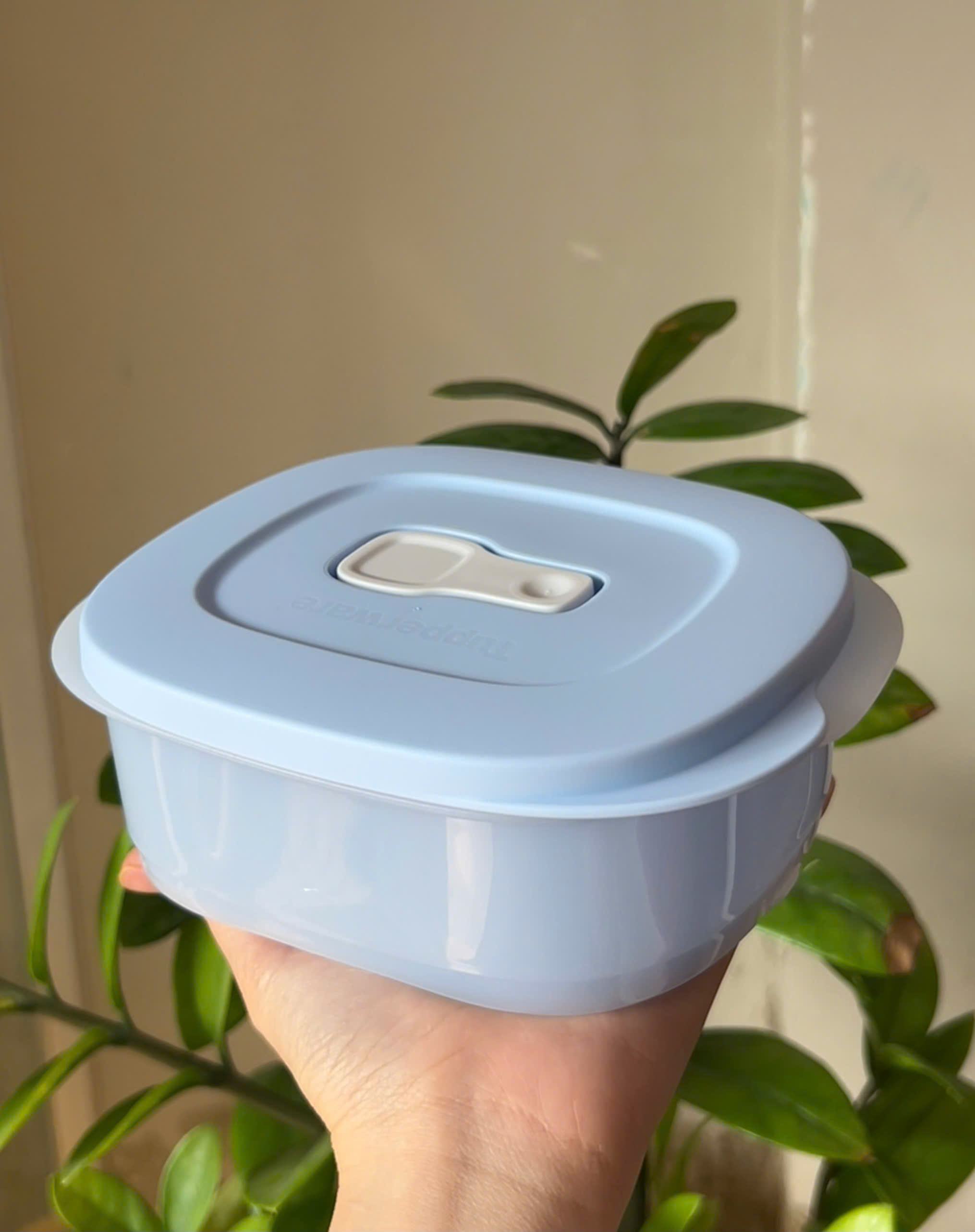 Hộp 500ml Tupperware Dùng Lò Vi Sóng - Tupperware Trung Chính Hãng