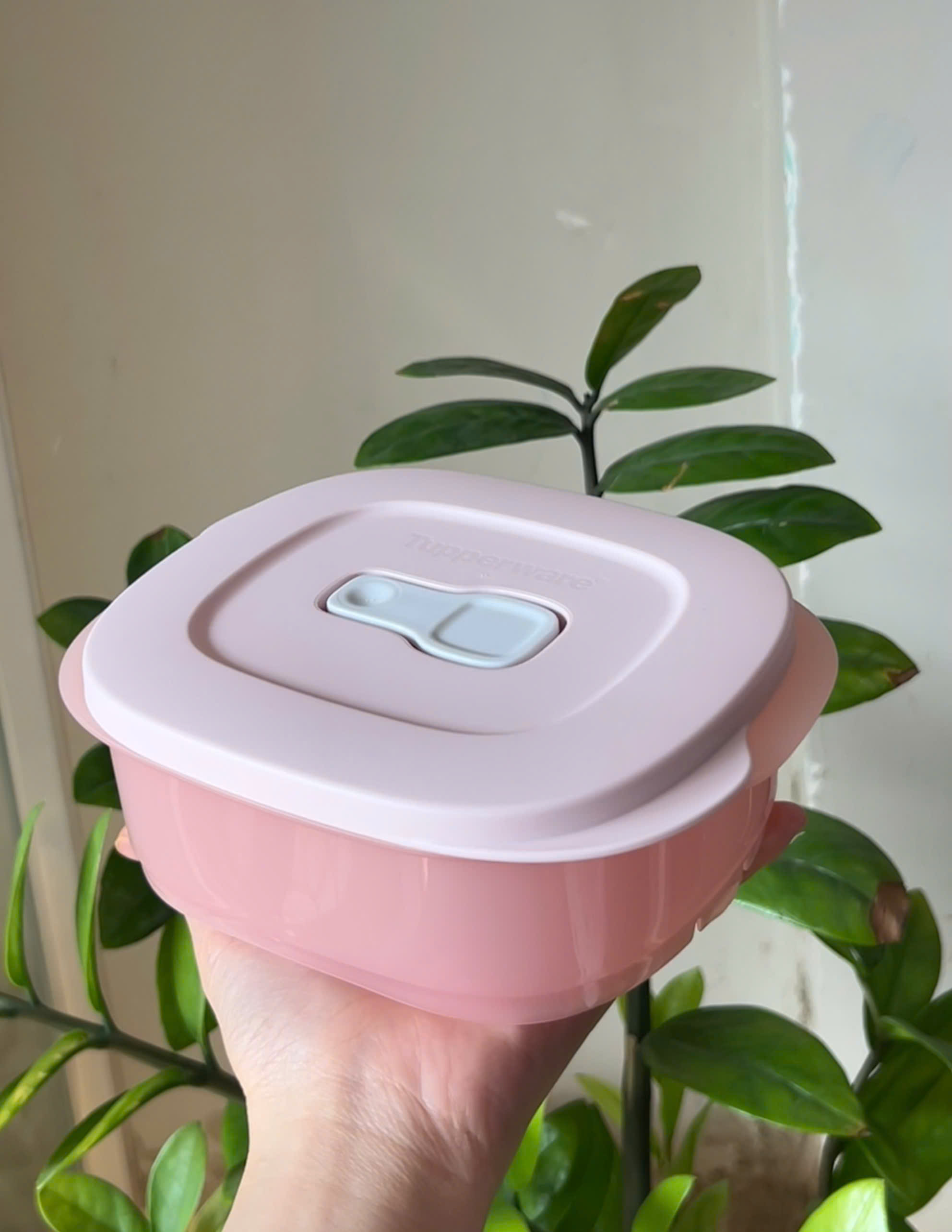 Hộp 500ml Tupperware Dùng Lò Vi Sóng - Tupperware Trung Chính Hãng