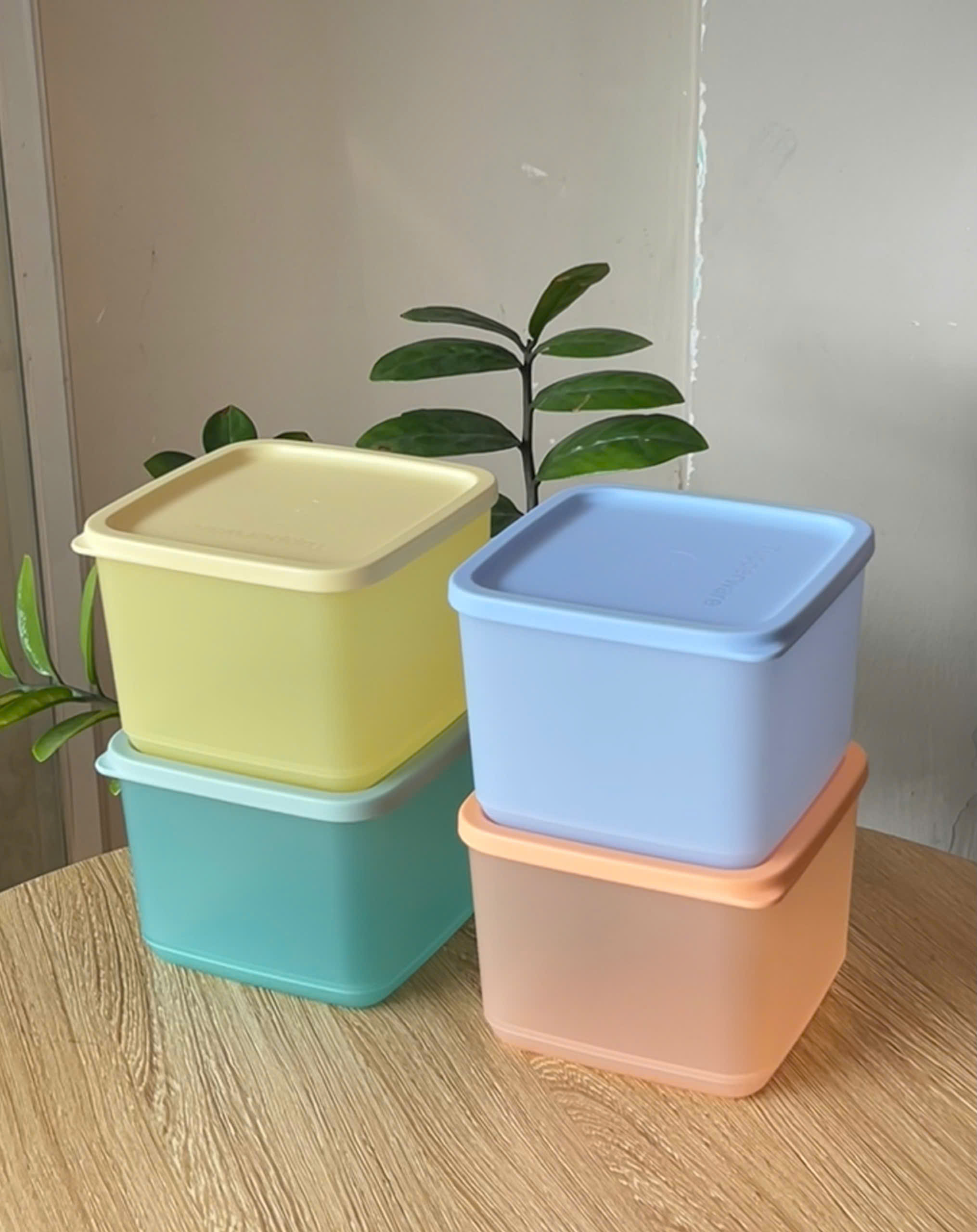 Hộp mát Tupperware BQTP Medium Squar Round 1L - Tupperware Chính Hãng