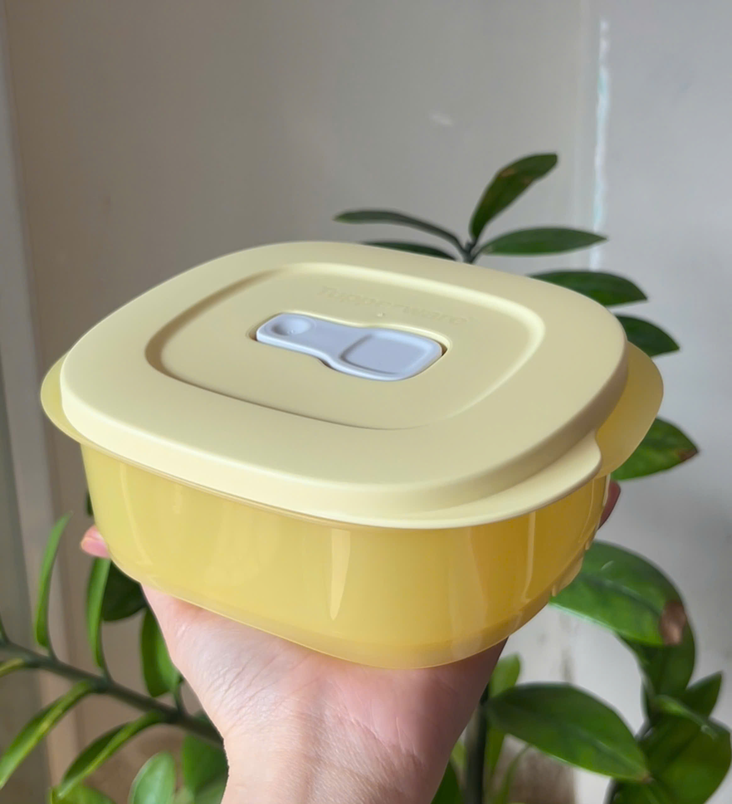 Hộp 500ml Tupperware Dùng Lò Vi Sóng - Tupperware Trung Chính Hãng