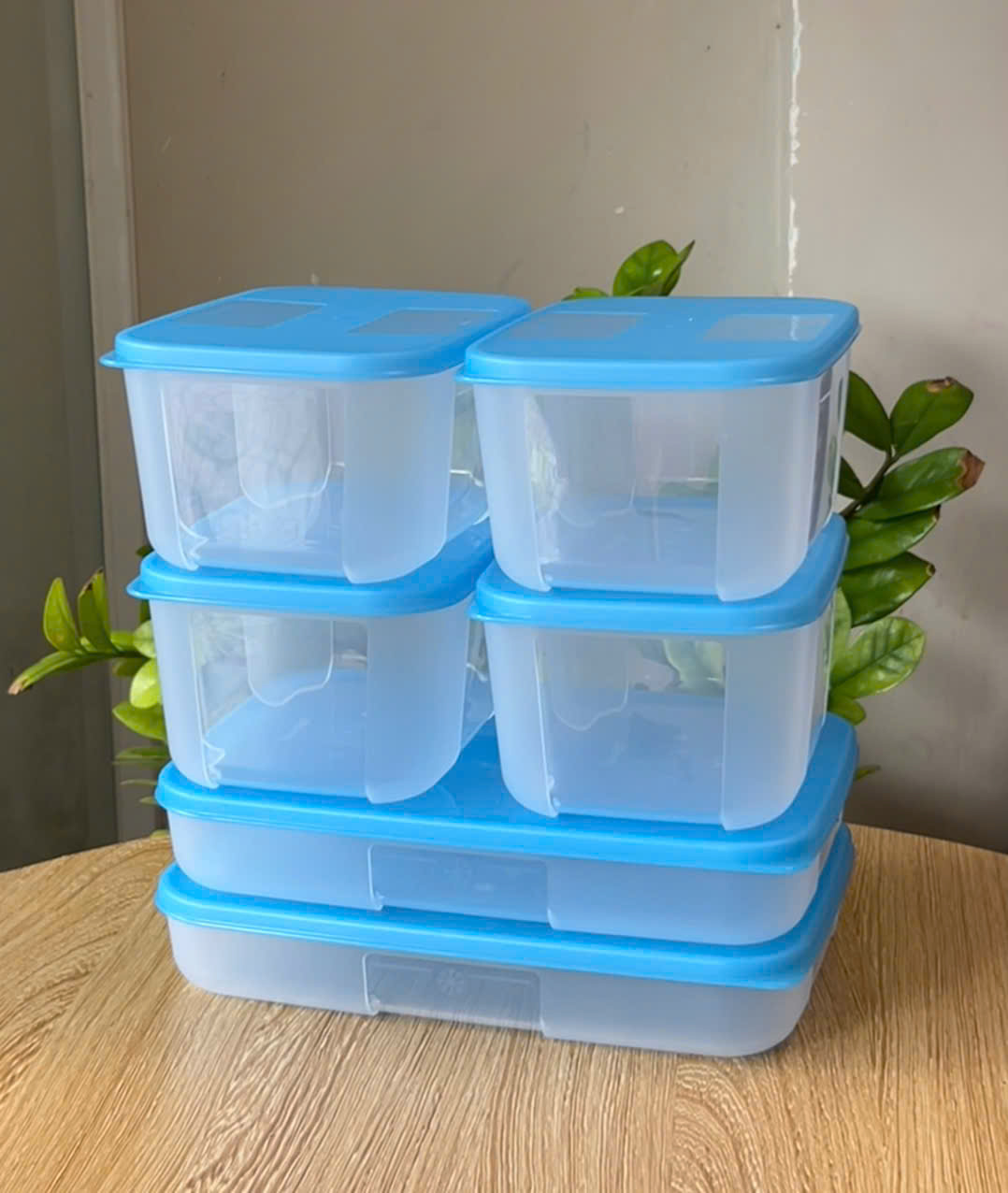 {{TUP80}} Bộ 6 hộp Tupperware trữ đông Gen I 650ml, 700ml