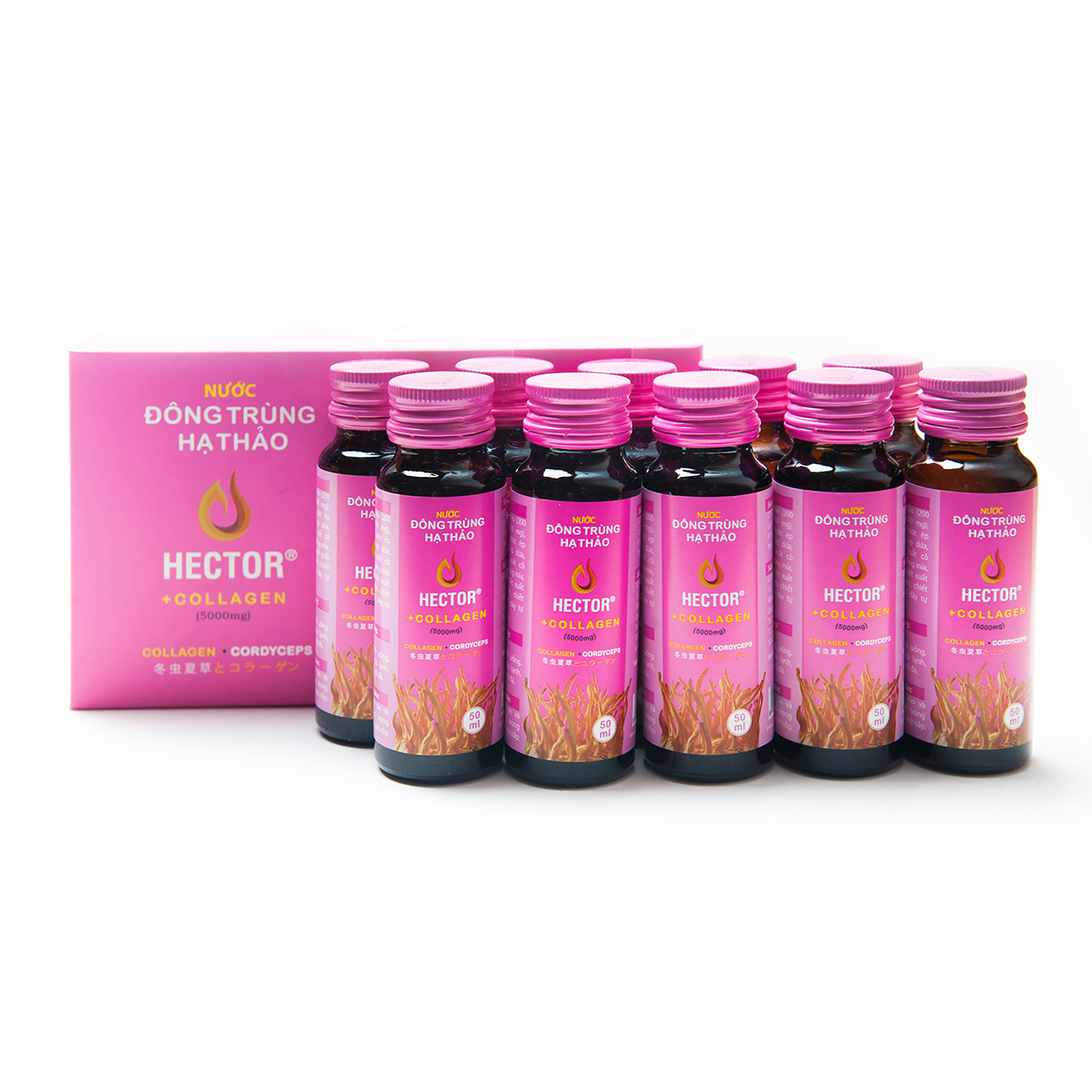 HECTOR COLLAGEN ĐÔNG TRÙNG HẠ THẢO