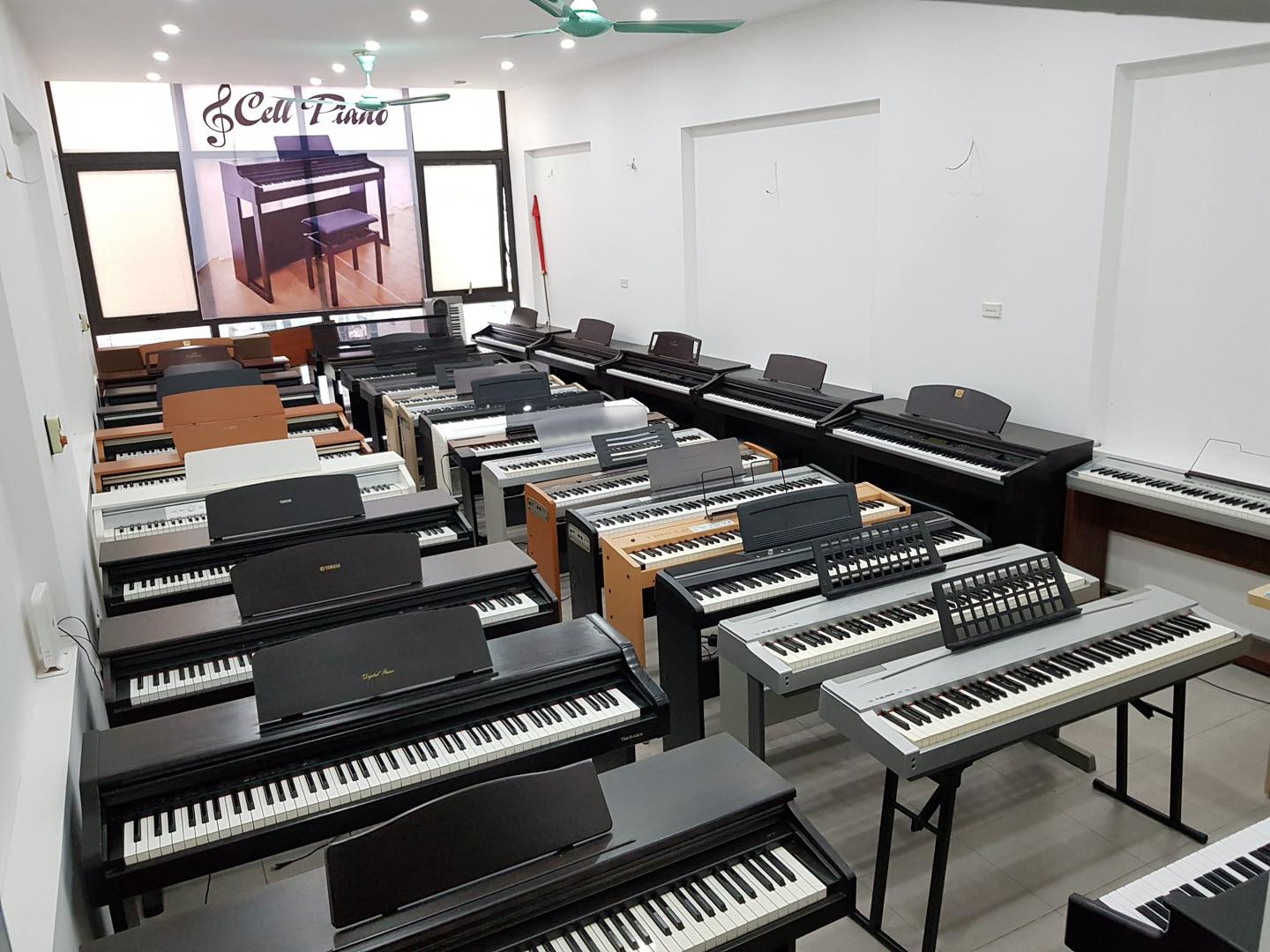 Mua Đàn organ, piano cũ mới giá rẻ tại Nam Định