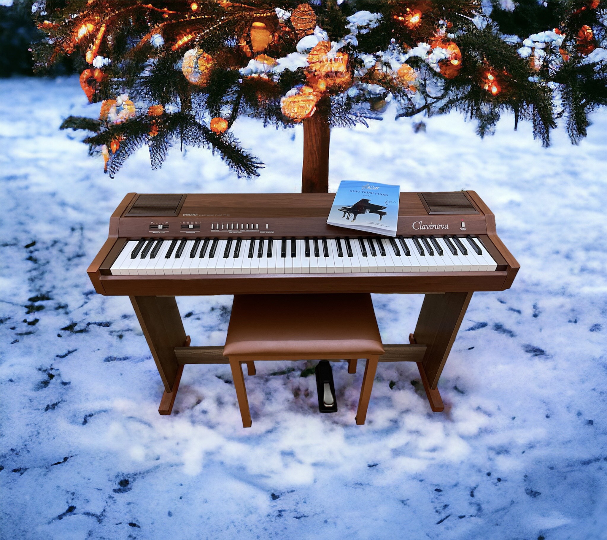 Bạn muốn mua Piano điện giá rẻ, organ cũ mới chất lượng uy tín tại khu vực tỉnh thành phố Hải Dương.