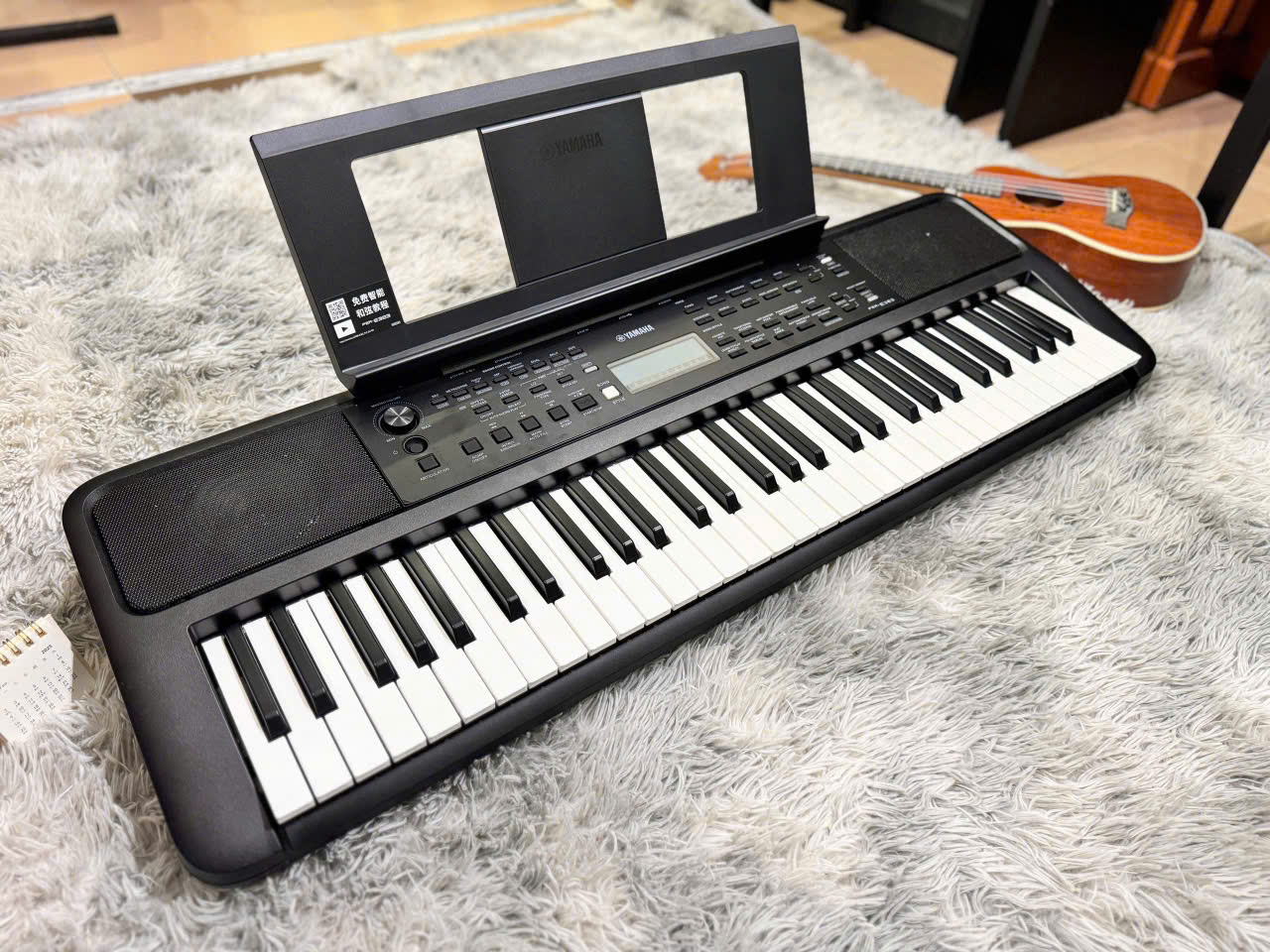 Mua Piano organ cũ mới uy tín giá rẻ tại Cần Thơ