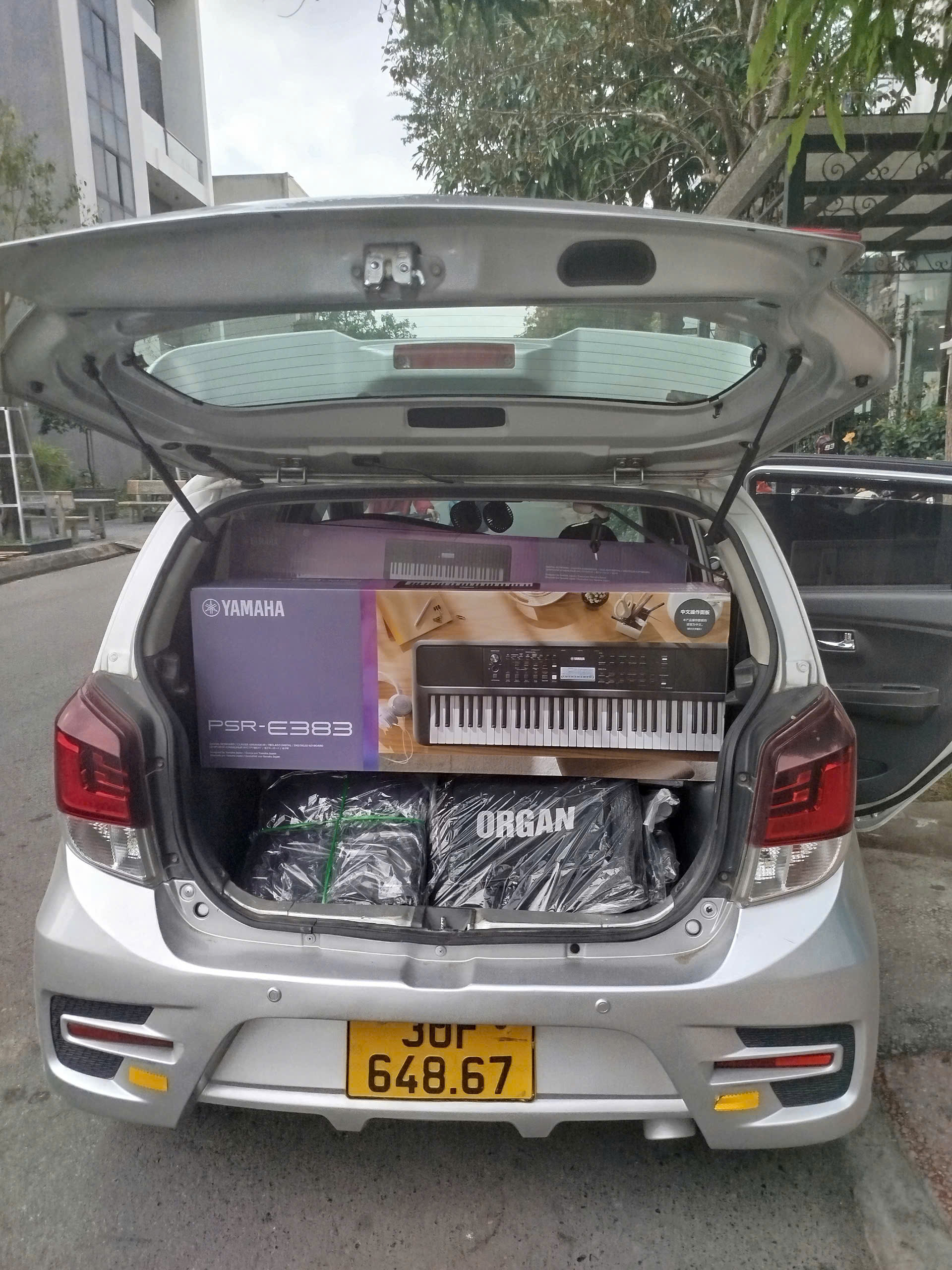 Tìm đàn piano và organ giá tốt, rẻ và uy tín Bình Dương